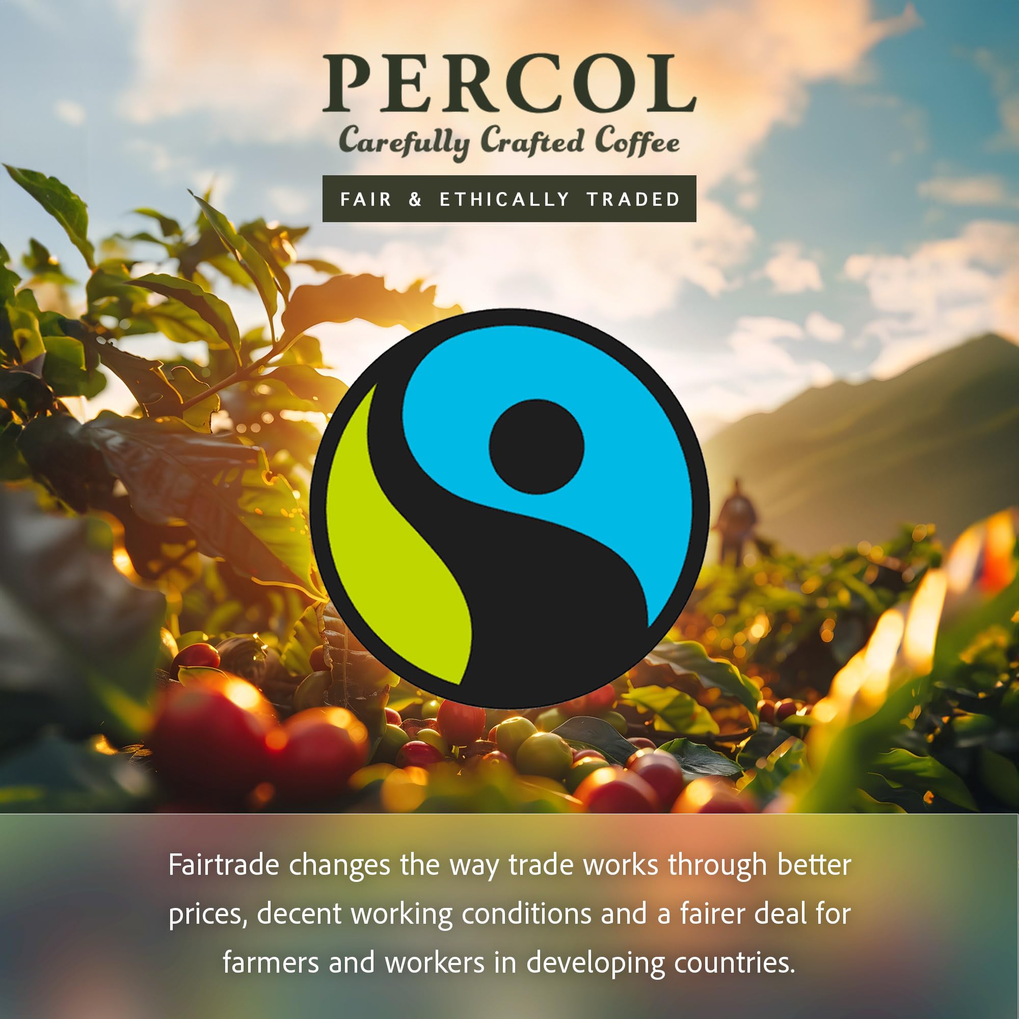 PERCOL Colombian Ground Coffee Bags - Light Roast, Fairtrade Certified | 80 x 8g 5