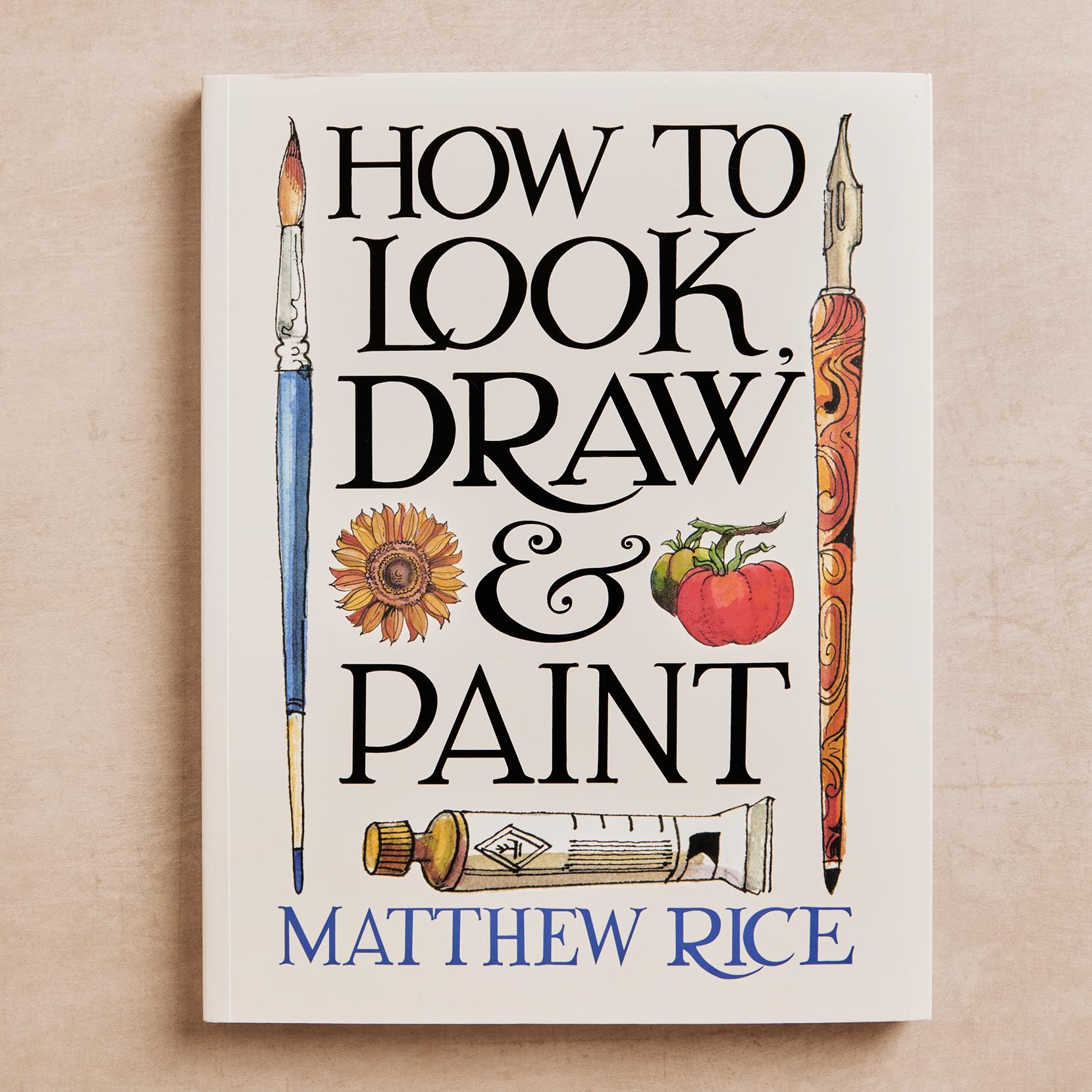 Ilex Press How to Look, Draw & Paint by Matthew Rice | Paperback 2