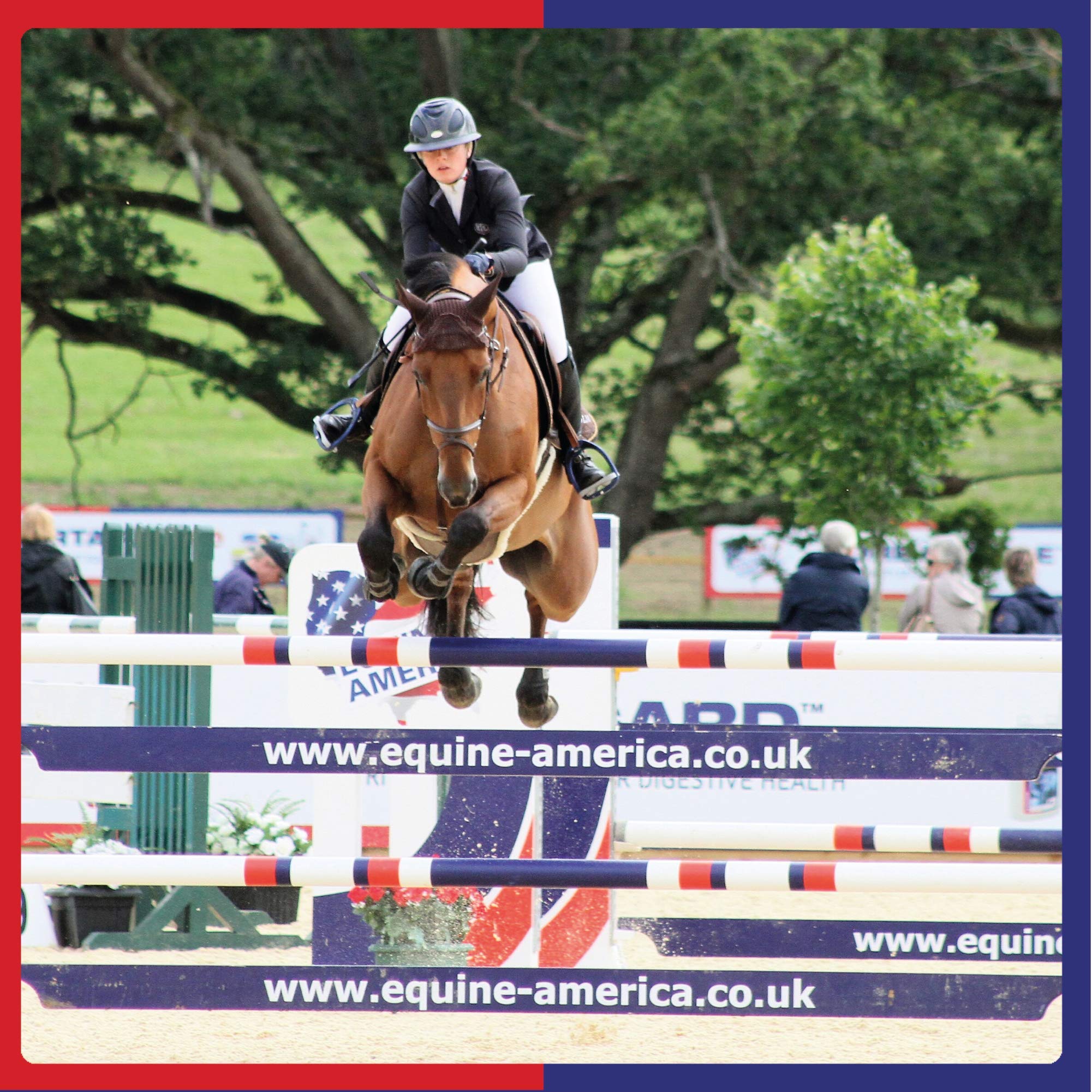 Equine America Airways Solution - Supports Respiratory Health | 500ml 4