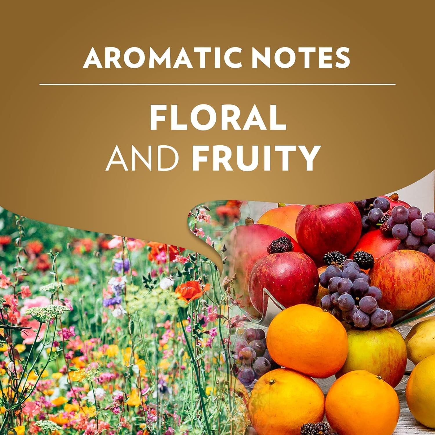 Lavazza Qualità Oro gemahlener Kaffee – 6 x 250 g Packungen, 100 % Arabica-Mischung für Moka-Kanne und Filter 10