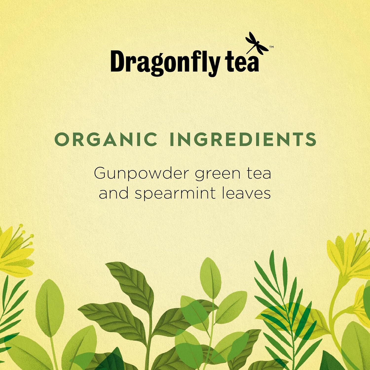 Dragonfly Tea - Moroccan Mint Organic Green Tea, 80 Teabags (4 Packs of 20) 5