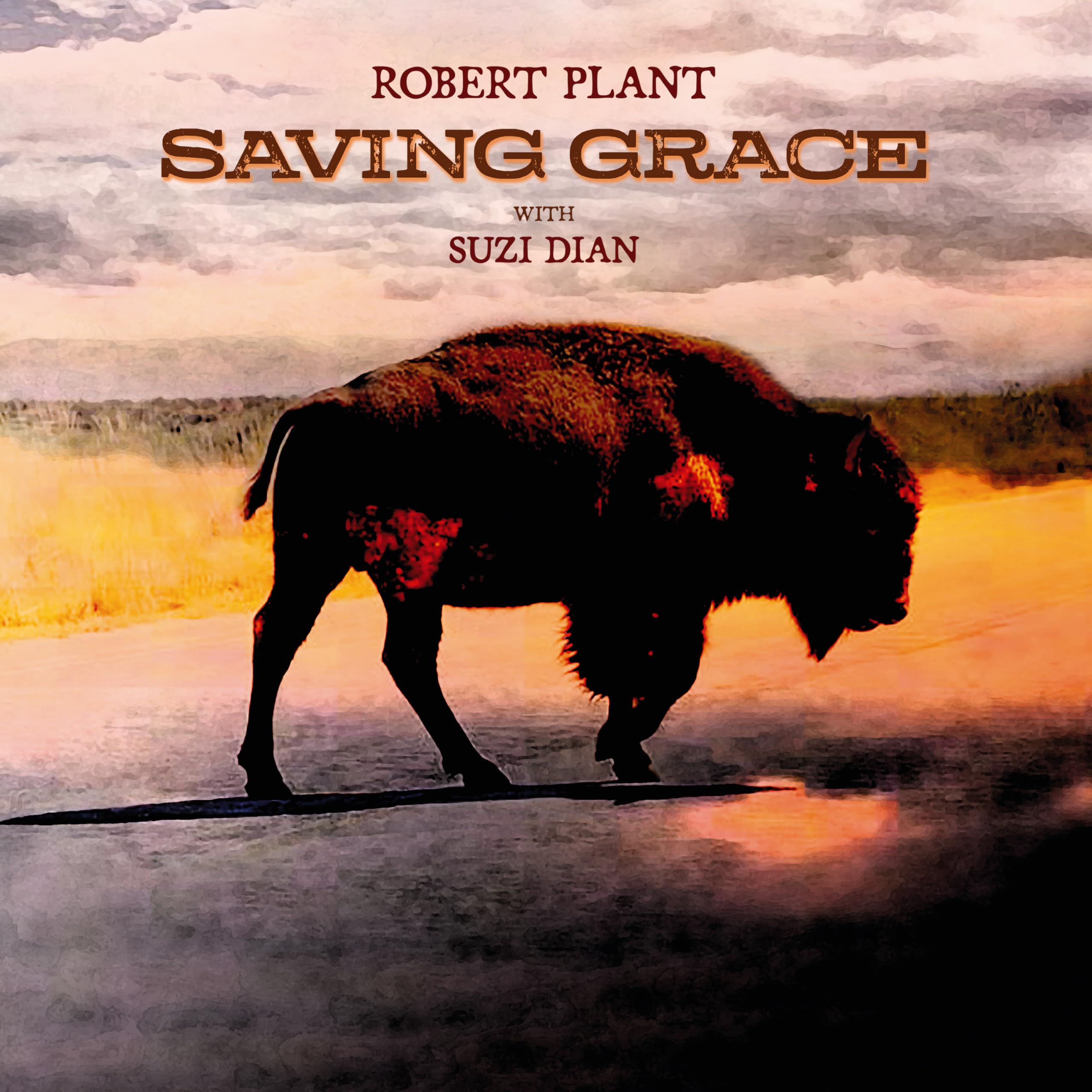 Robert Plant - Saving Grace [Audio CD]