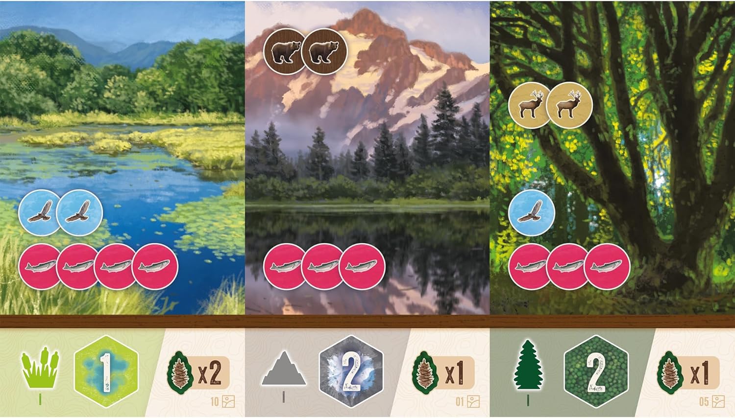 AEG Cascadia Rolling Hills Roll & Write Dice Game Expansion 7