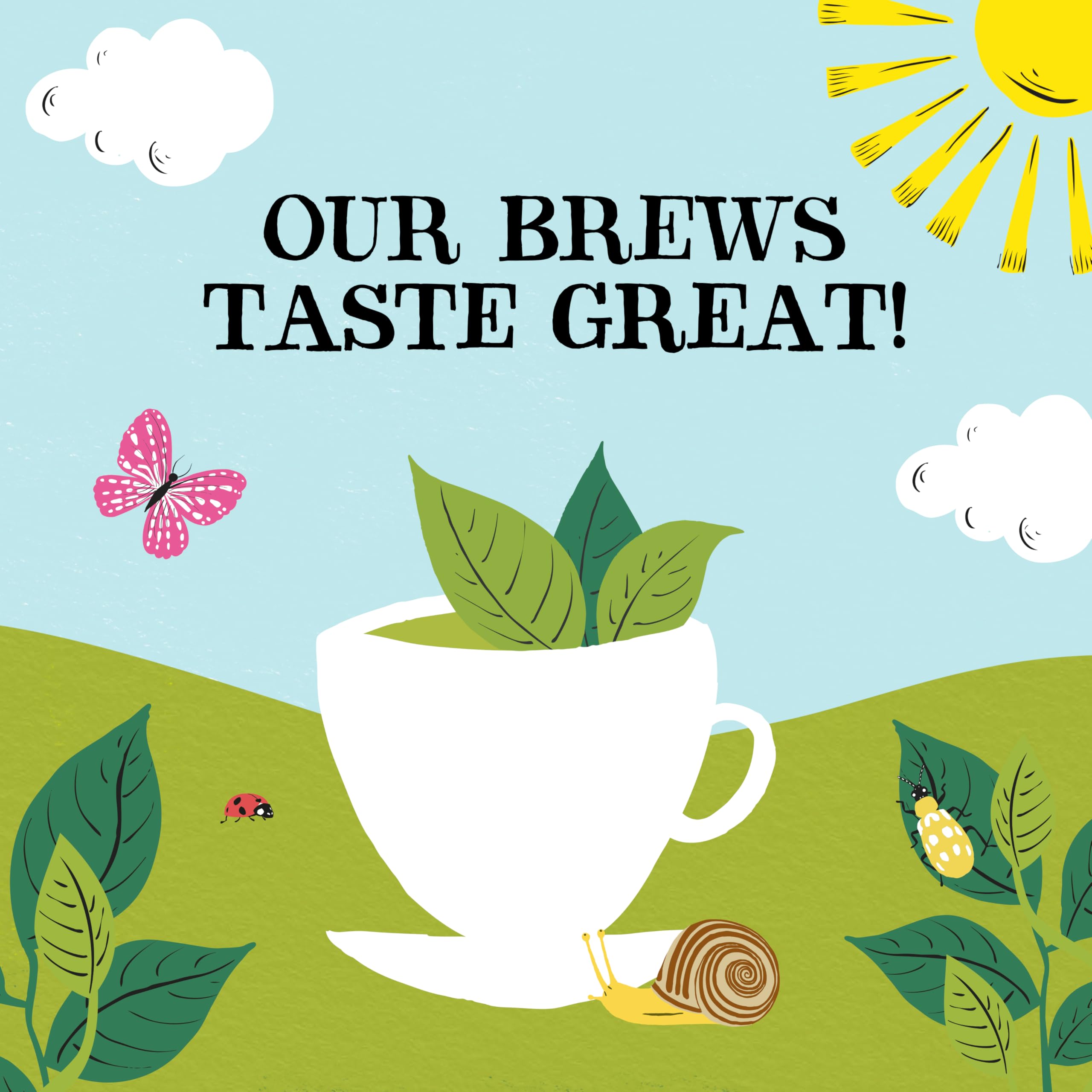 Clipper Organic Everyday Fairtrade Teabags | 80 Black Tea Bags | Unbleached, Biodegradable 15