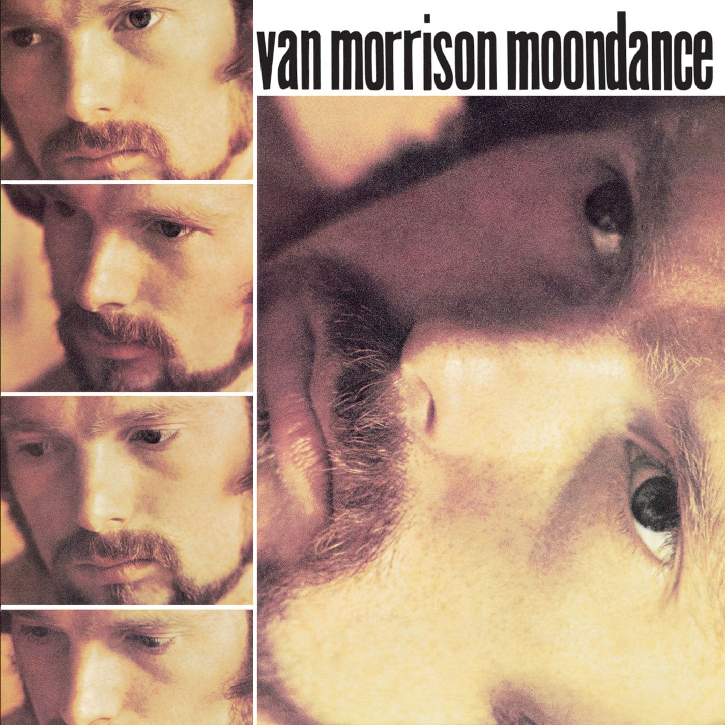 Van Morrison - Moondance [CD] 1