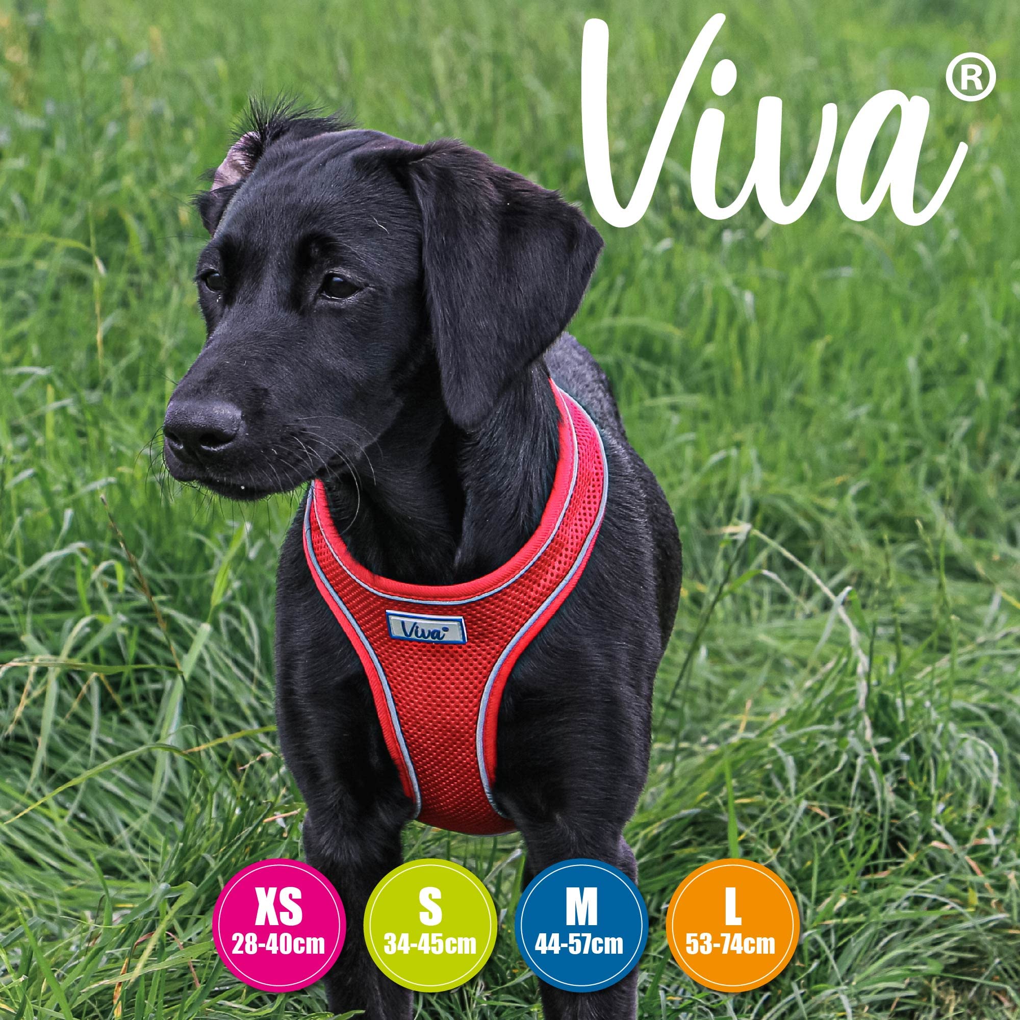Ancol Viva Lightweight Mesh Dog Harness - Red, Size Medium (Girth 44-57 cm) 5