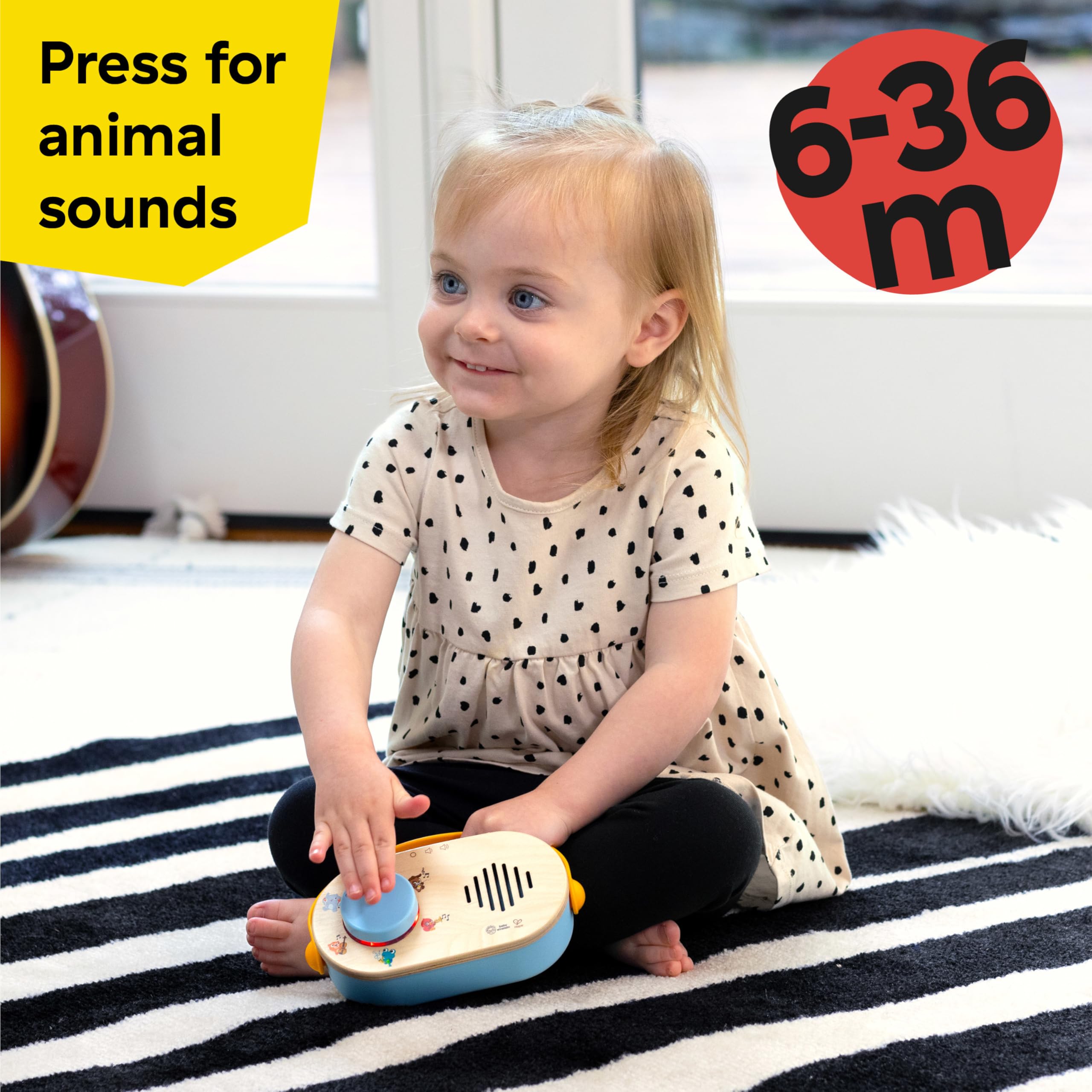 Baby Einstein + Hape Discovery Radio Toy - Musical Light-Up Radio with 30 Melodies & 12 Animal Sounds, Ages 6 Months+ 7