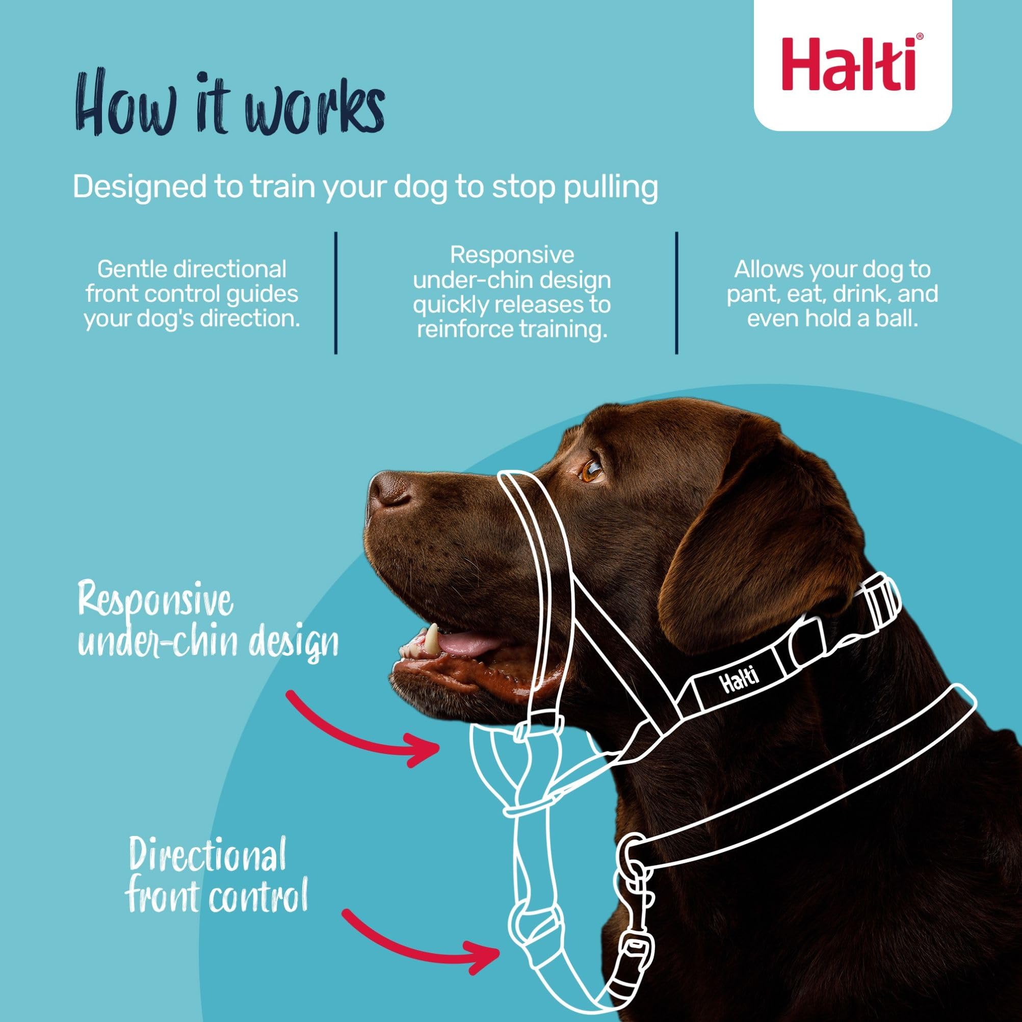 Halti Headcollar - Stops Pulling for Dogs | Size 3 | Forest Green | Reflective