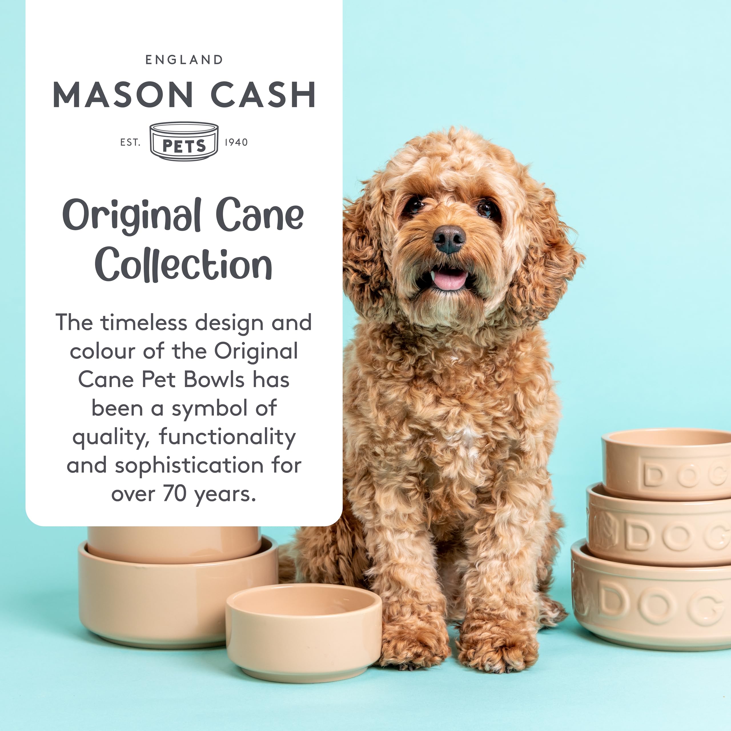 Mason Cash Cane Lettered Dog Water Bowl - 2.4L Capacity | Heavy Stoneware | Dishwasher Safe 3