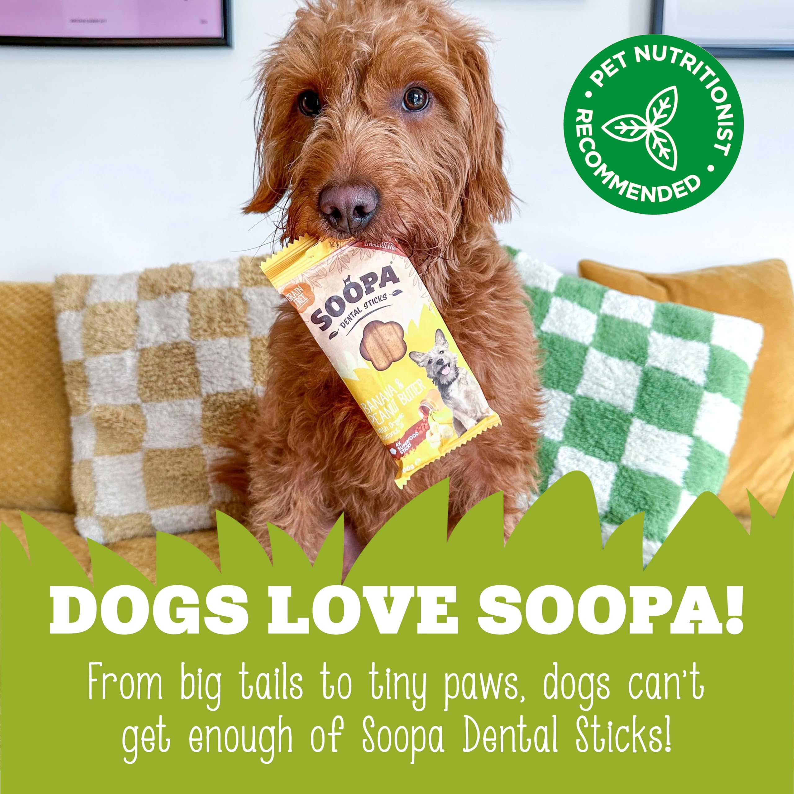 Soopa Watermelon & Apple Dental Sticks for Dogs - Hypo-Allergenic, Low Fat | 100g Bag 6