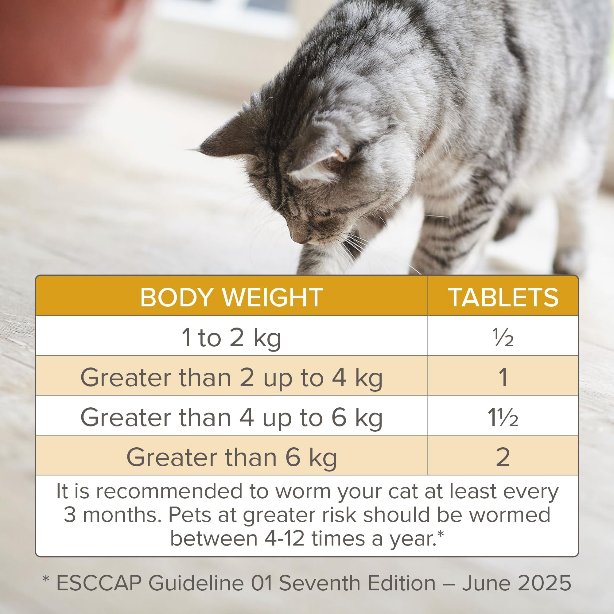 Beaphar WORMclear Tablets for Cats - Kills Common UK Worms | 4 Tablet Pack 6
