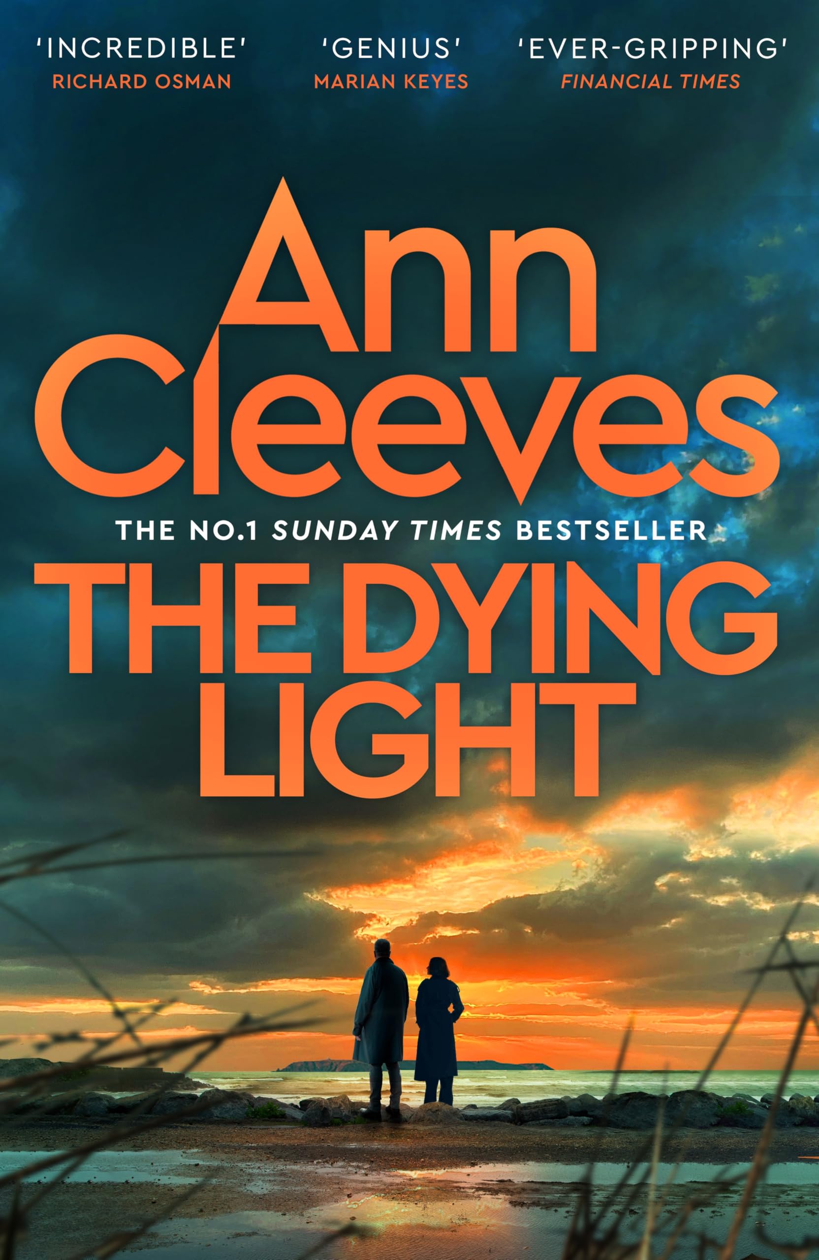 MACMILLAN The Dying Light: The new page-turning Matthew Venn mystery by Ann Cleeves [Hardcover]