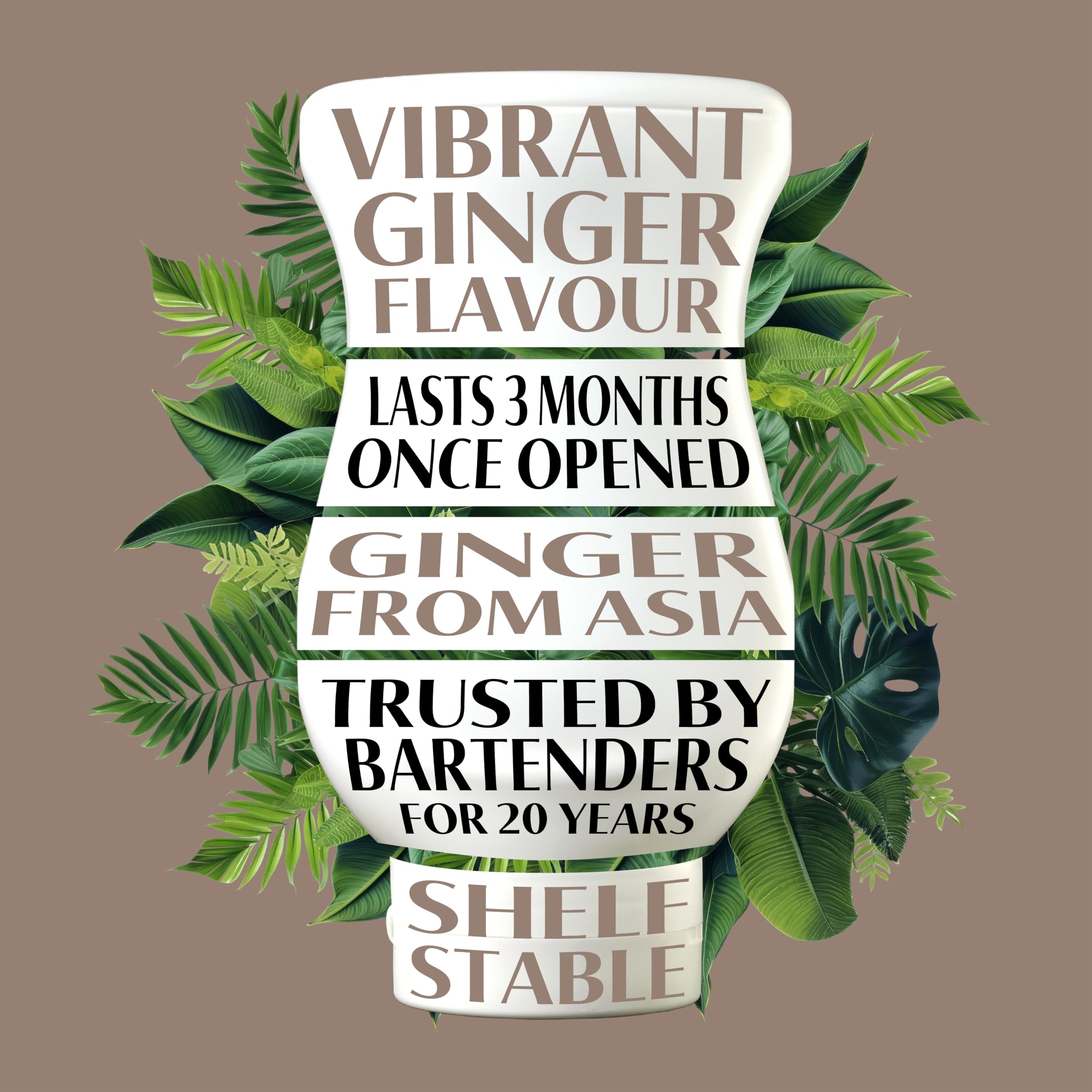 Reàl Infused Exotics - Ginger Puree Infused Fruit Syrup | 500ml Squeezy Bottle 6