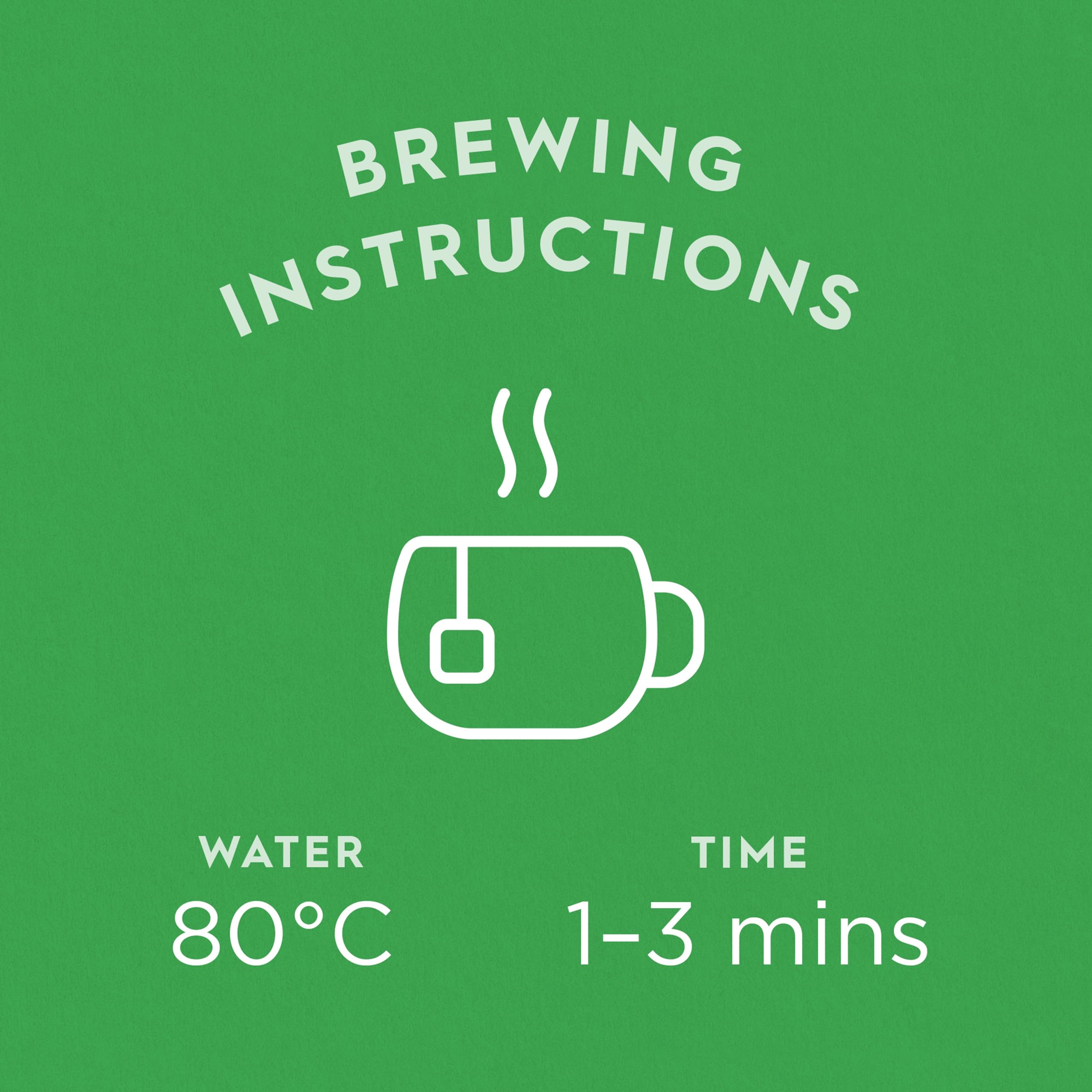 Dragonfly - Pure Green Mountain Organic Green Tea Bags, 80 Count (4 x 20) 4