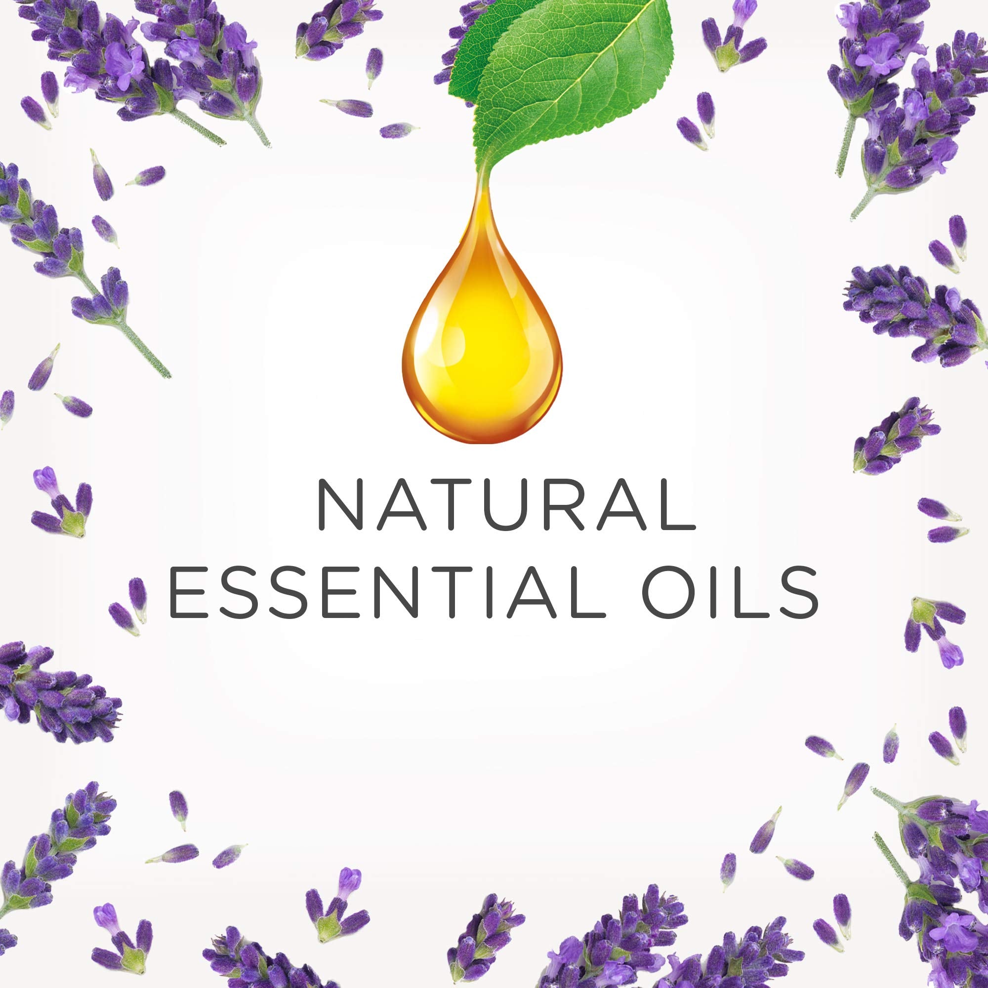 Air Wick - Essential Oils Plug In Refill Air Freshener (Purple Lavender Meadow) 7