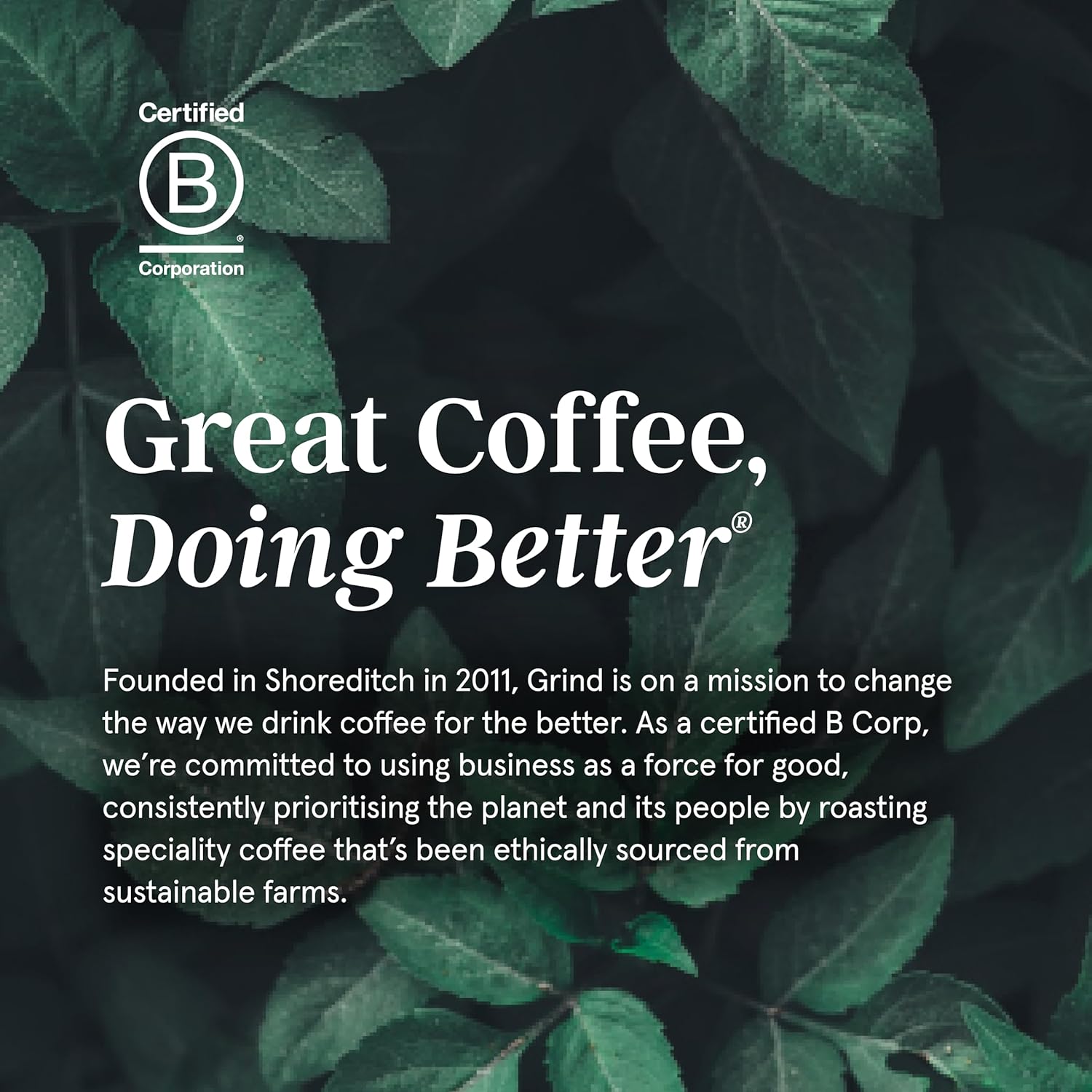 Grind - House Coffee Blend 1kg Whole Coffee Beans 6