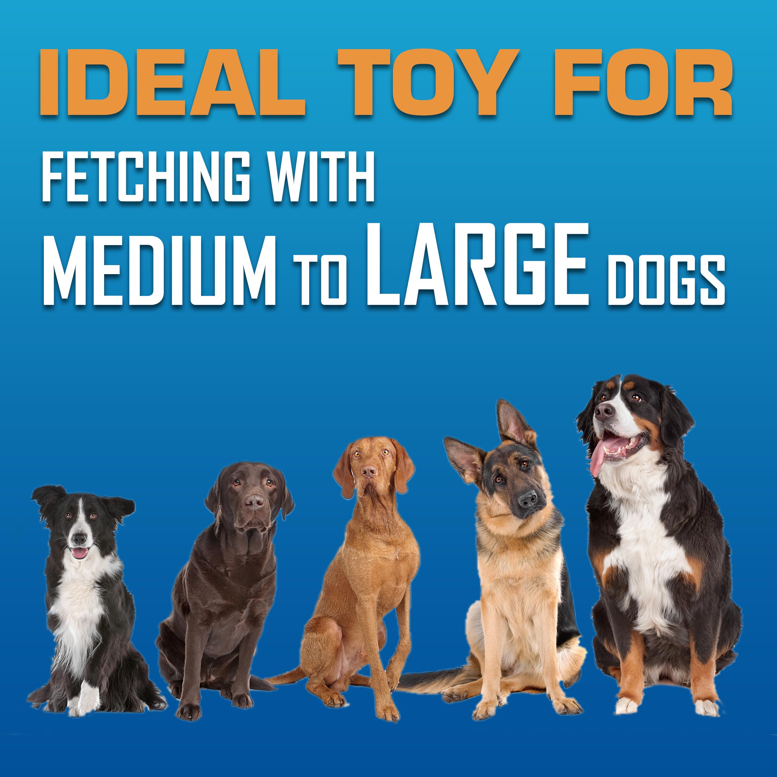 Nerf Dog Atomic Flyer Dog Toy - 10 Inch Flying Disc | Water Resistant | Lightweight 6