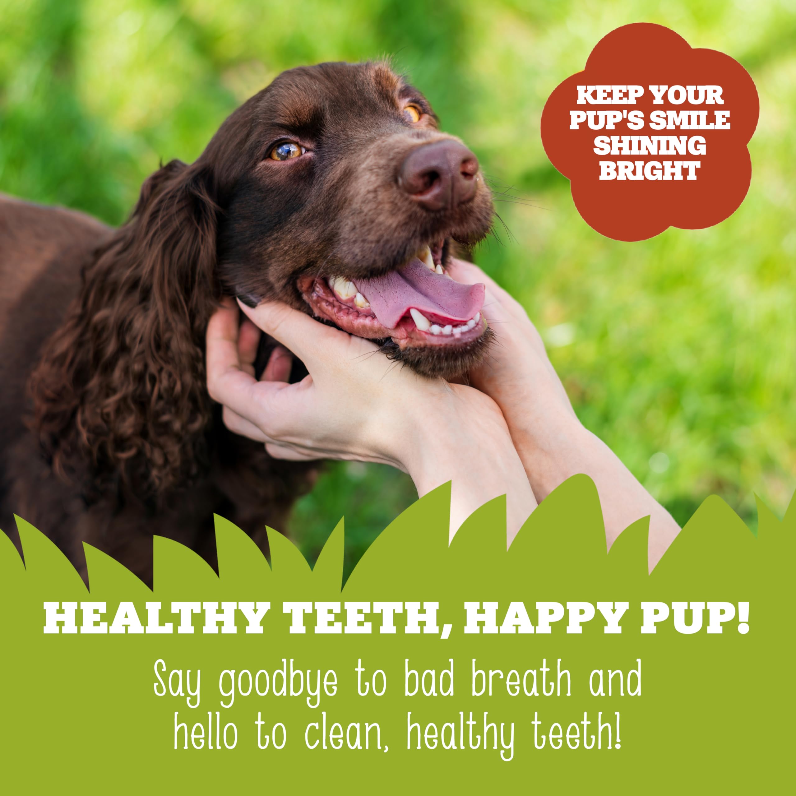 Soopa Gingerbread Biscuit Dog Dental Sticks - 100g | Hypo-allergenic | Aids Digestion 4