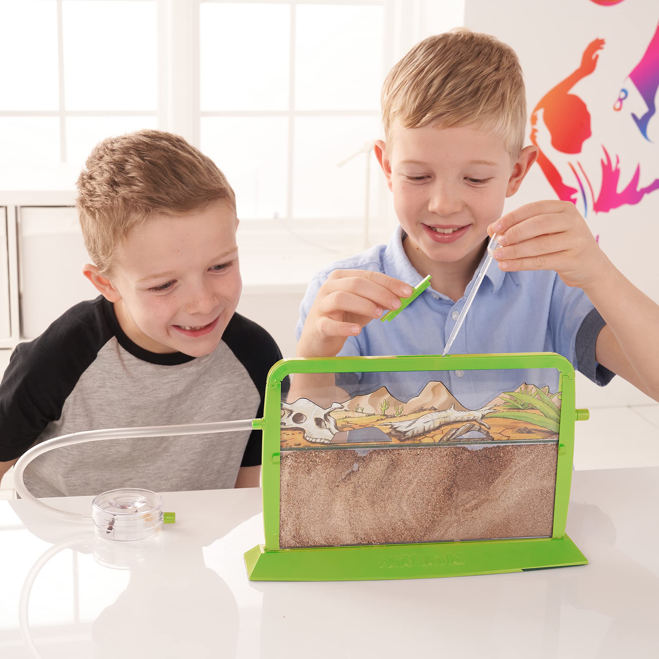 My Living World Ant World - Educational Science Playset for Kids 7