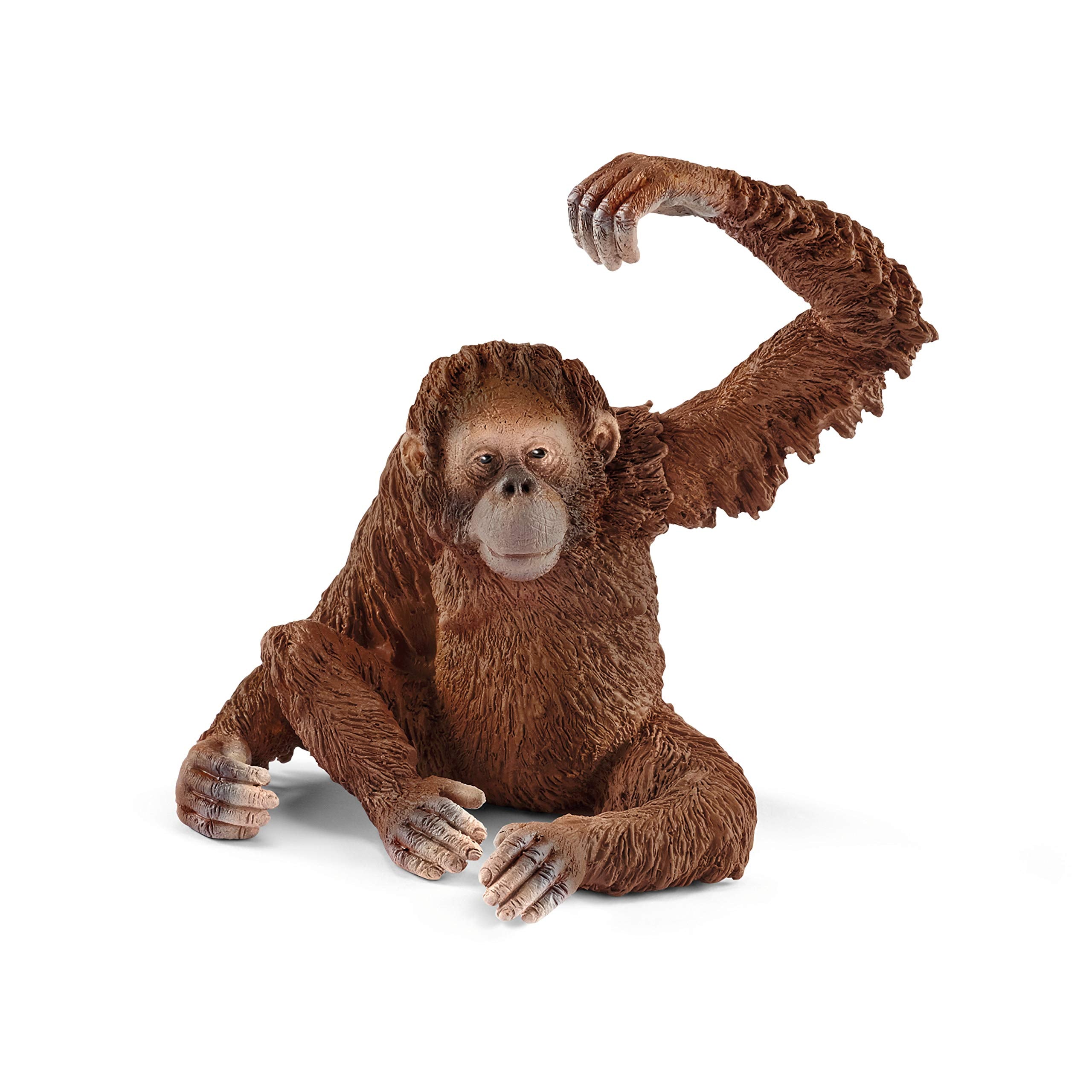 SCHLEICH Orangutan Female Figurine - Movable Arms & Fruit-Holding Jungle Animal Toy for Kids 5