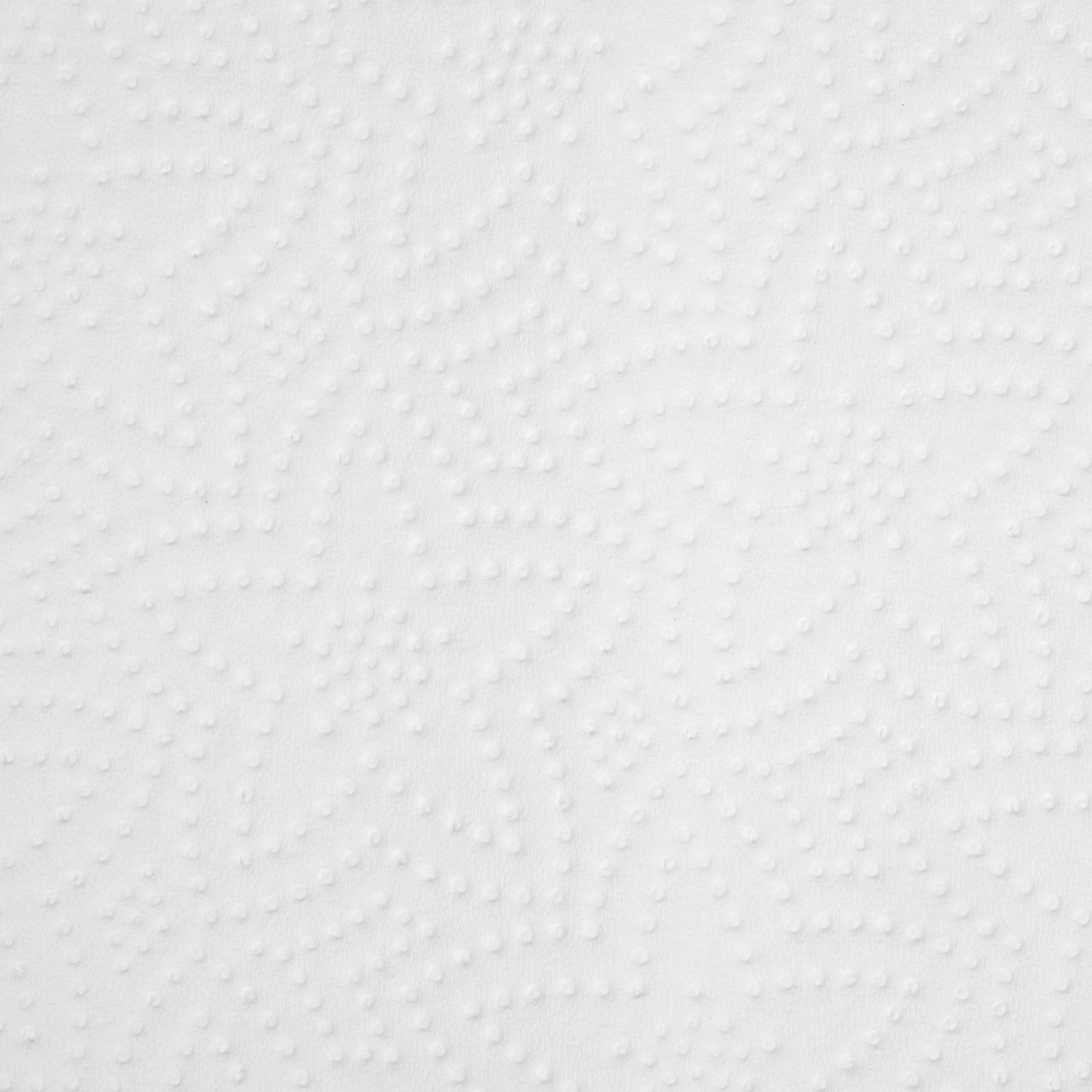 Blake & White - 3 Ply Kitchen Roll | Pack of 2 | FSC Certified | 100% Virgin Fiber 3