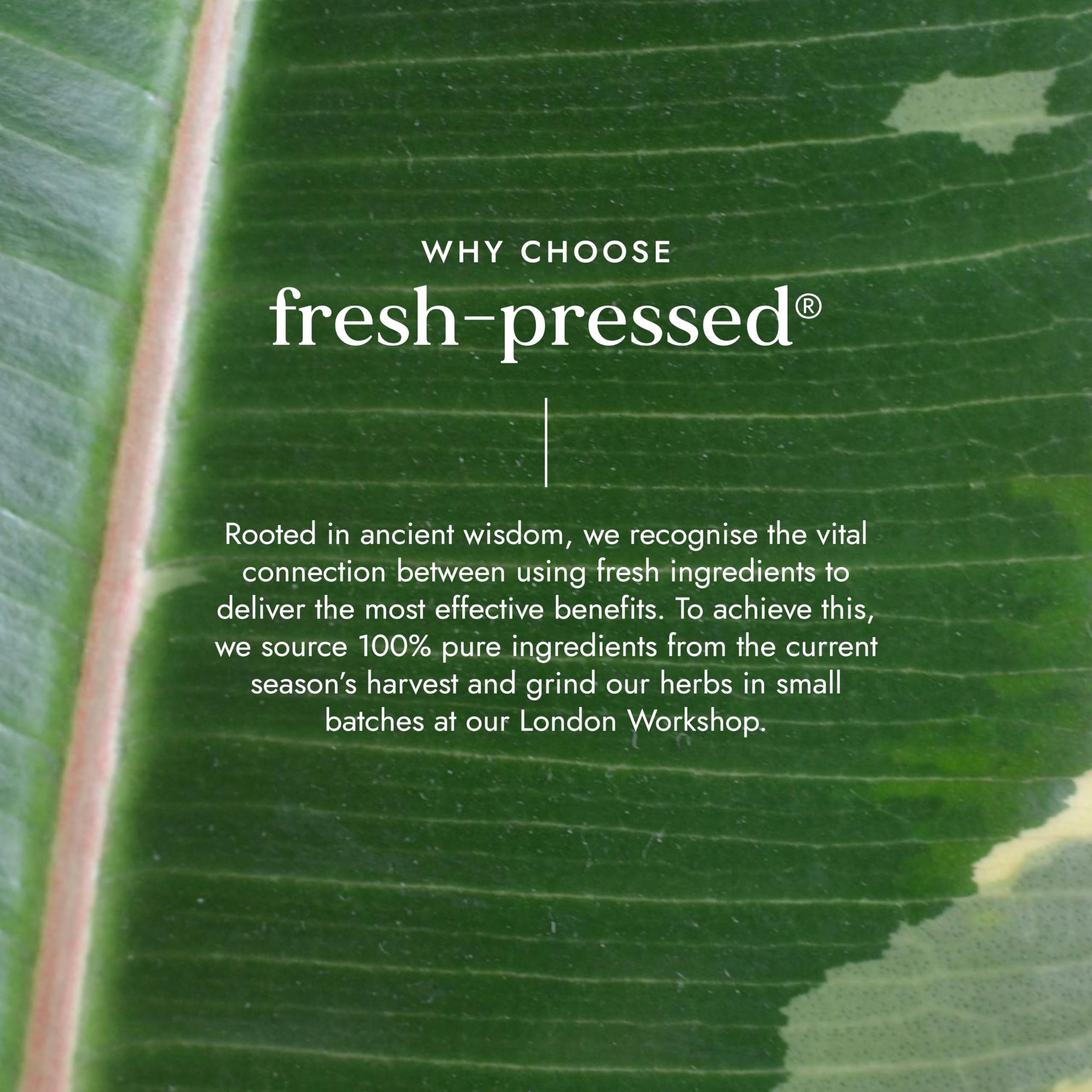 Fushi Amla Juice 500ml | Cold-Pressed Indian Gooseberry Juice | 100% Raw & Unfiltered 8