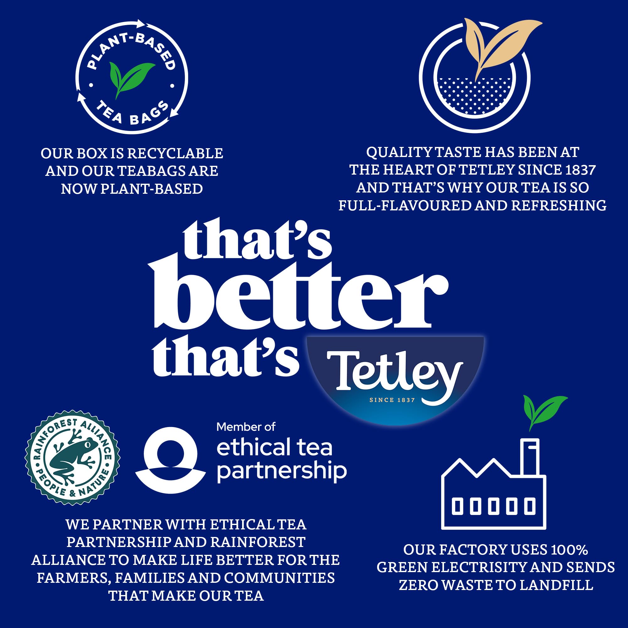 Tetley Zitronen-Grünteebeutel – Rainforest Alliance-zertifiziert – auf pflanzlicher Basis – 25 Teebeutel 6