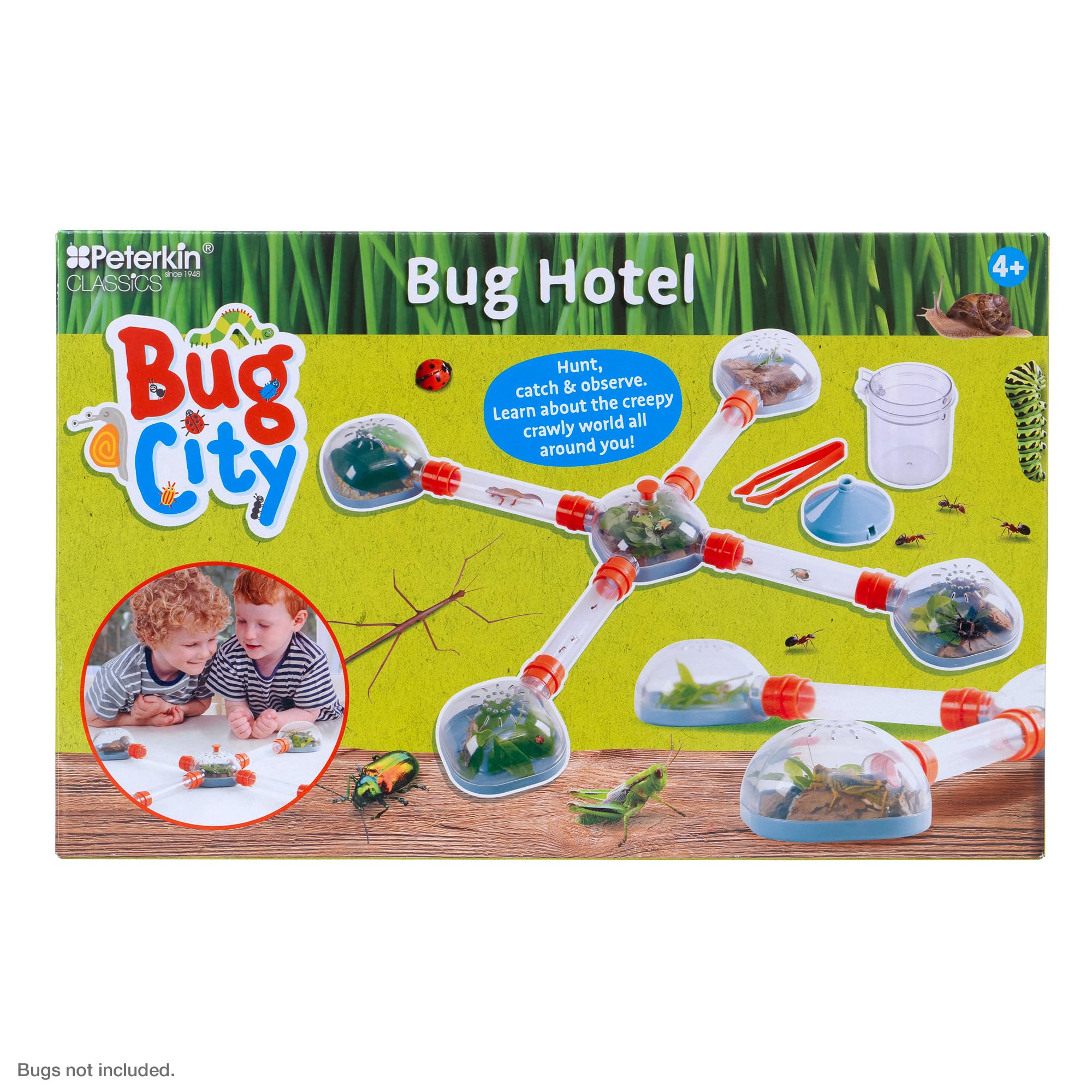 Peterkin Classics Bug City Bug Hotel Science Kit | STEM Learning | Green Plastic 6