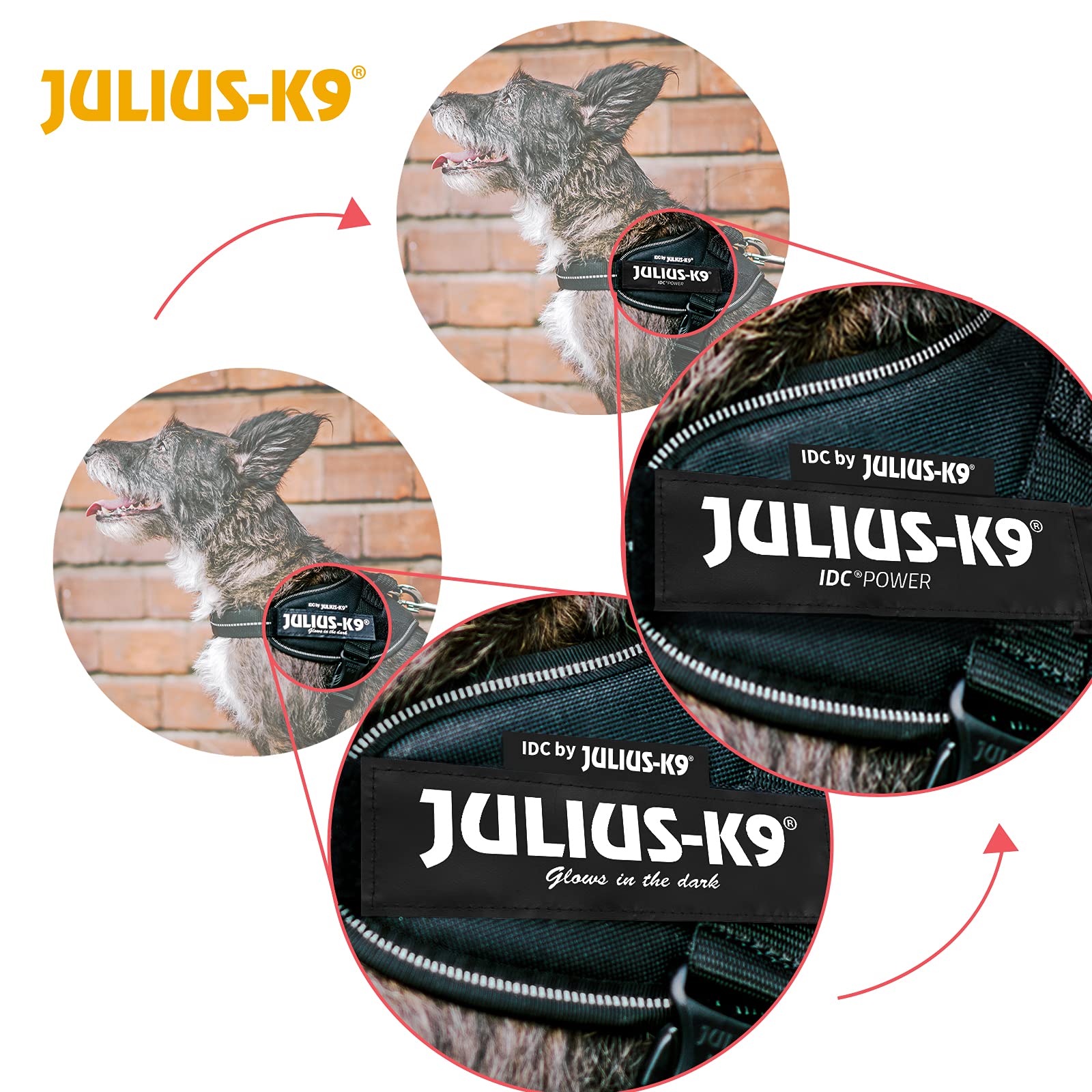 Julius-K9 IDC Powerharness Vest Harness - Dark Pink | Chest 49-67 cm | Dog Size S/Mini 4