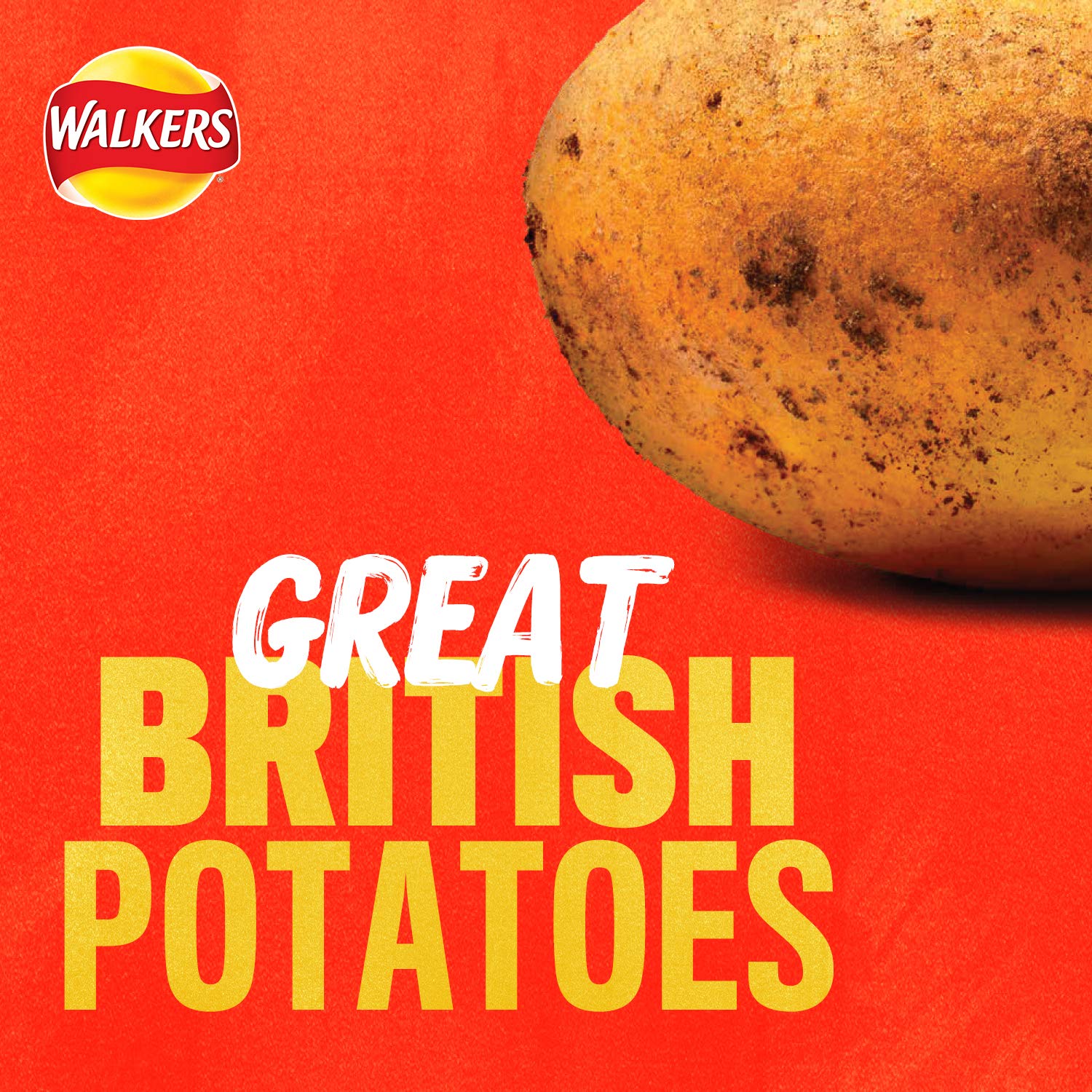 Walkers Ready Salted Multipack Crisps, 12 x 25g 5