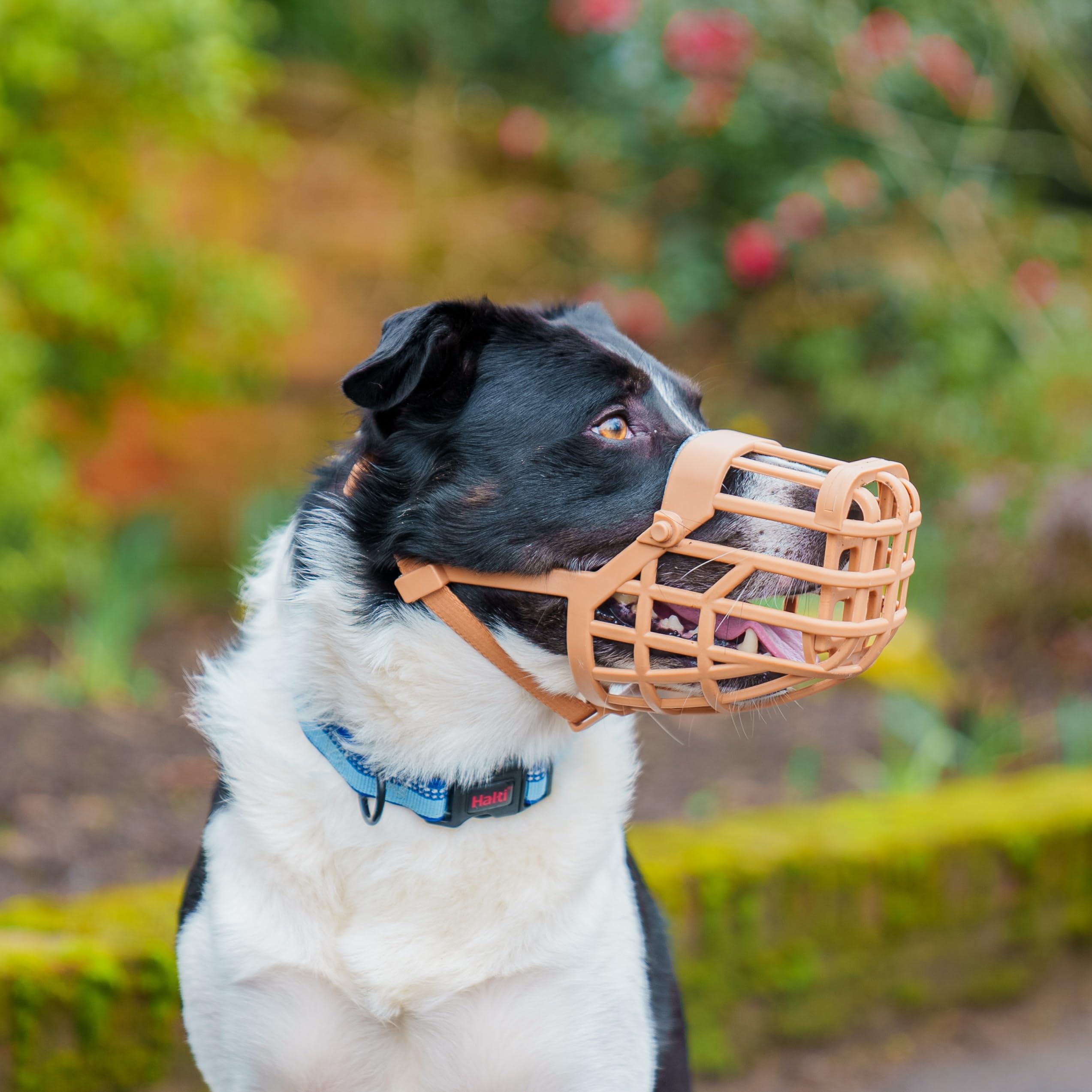 Baskerville Classic Basket Muzzle - Size 2, Brown, Prevents Biting & Scavenging | TPE