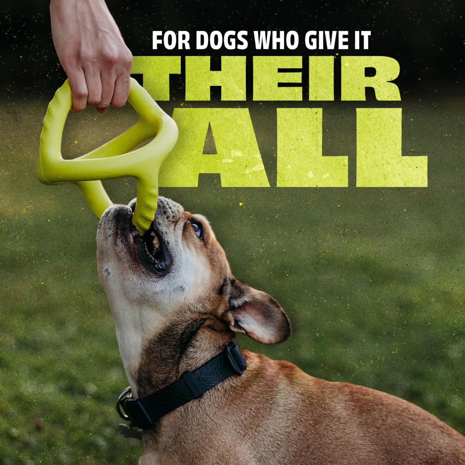 Benebone Natural Rubber Tug Interactive Dog Toy - Dishwasher Safe | Green | Unscented