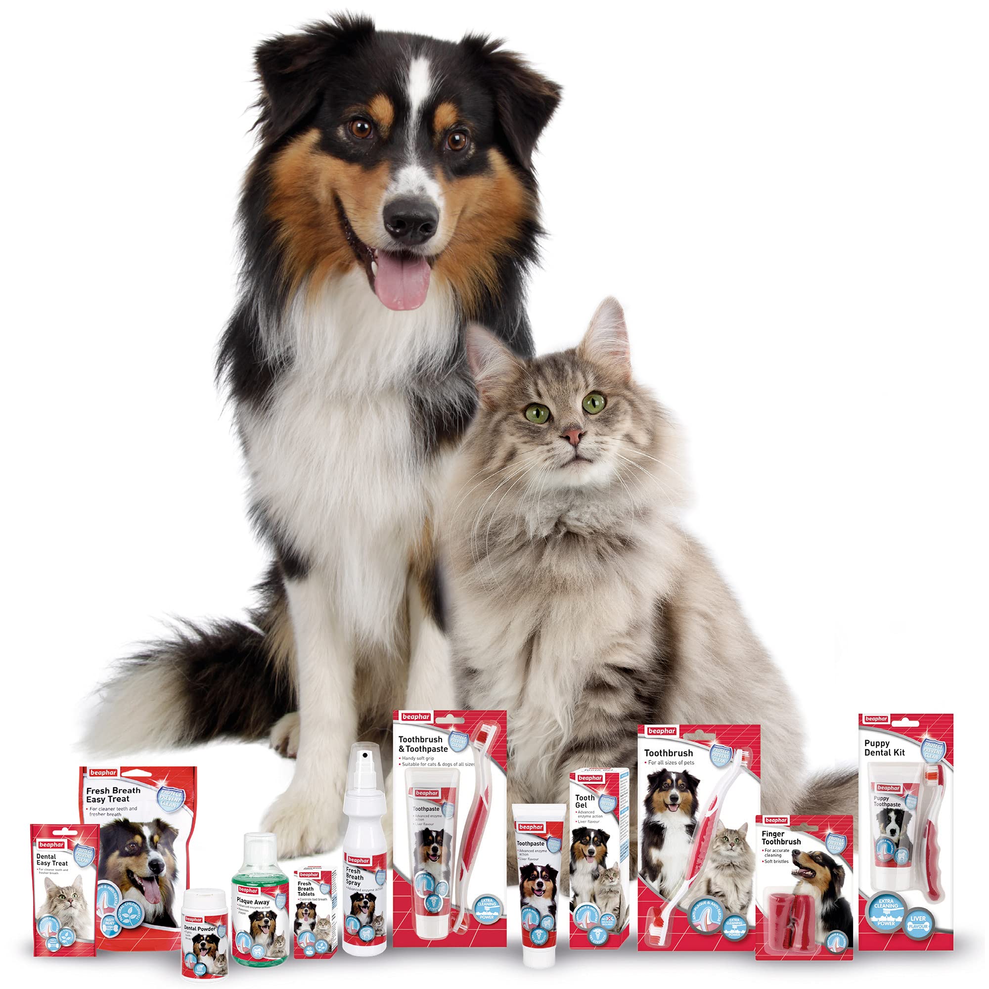 Beaphar Anti-Plaque Dental Powder for Dogs & Cats | Fights Plaque & Bad Breath | 77g Tub 7