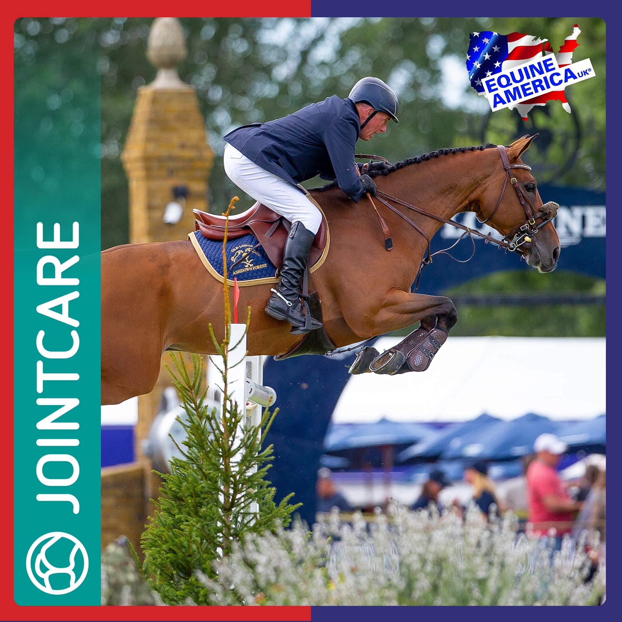 Equine America Cortaflex Regular Strength Powder for Horses - Joint Support | 250 g 6