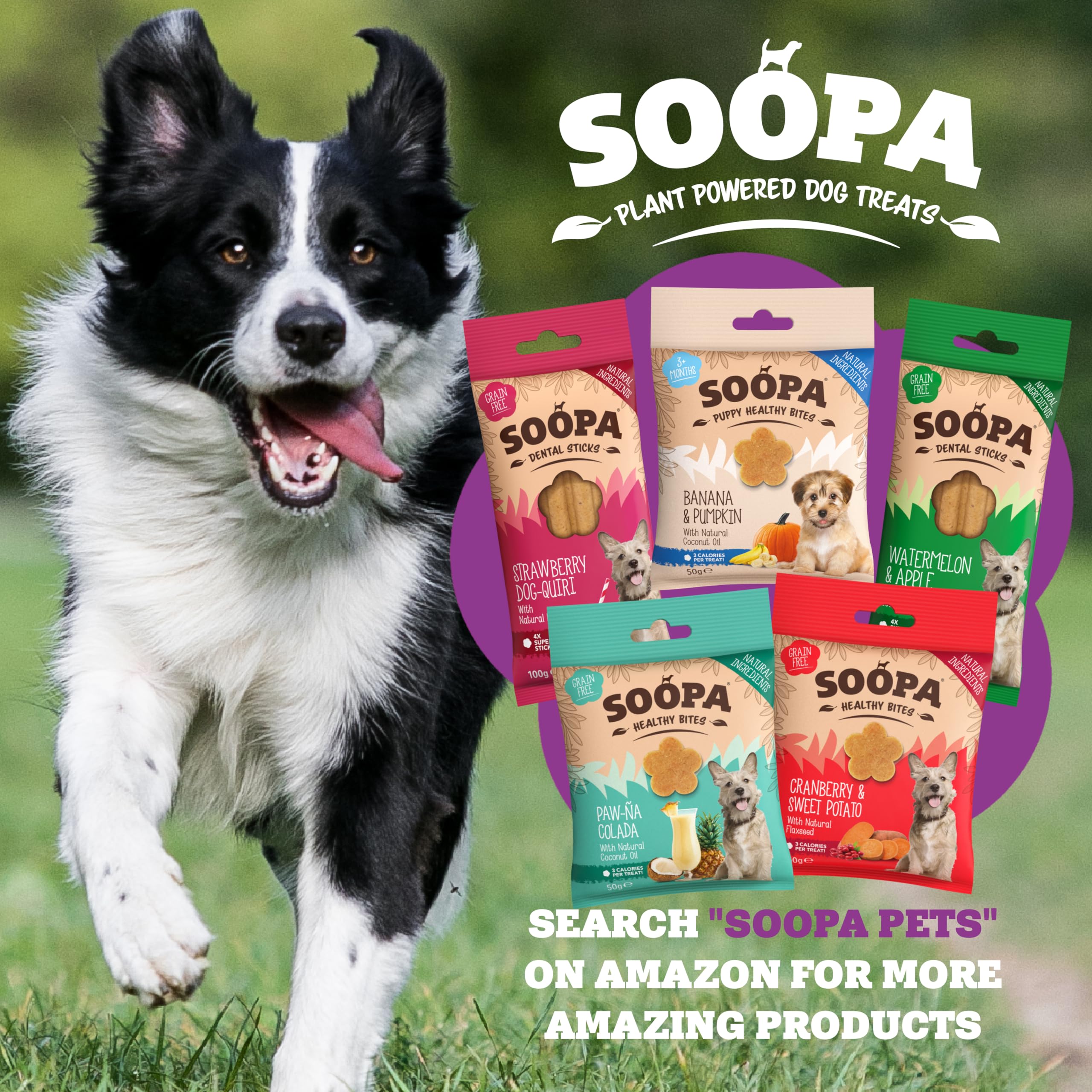 Soopa Senior Banana Pumpkin and Flaxseed Dental Sticks - 100g | Low Fat | Vegan 7