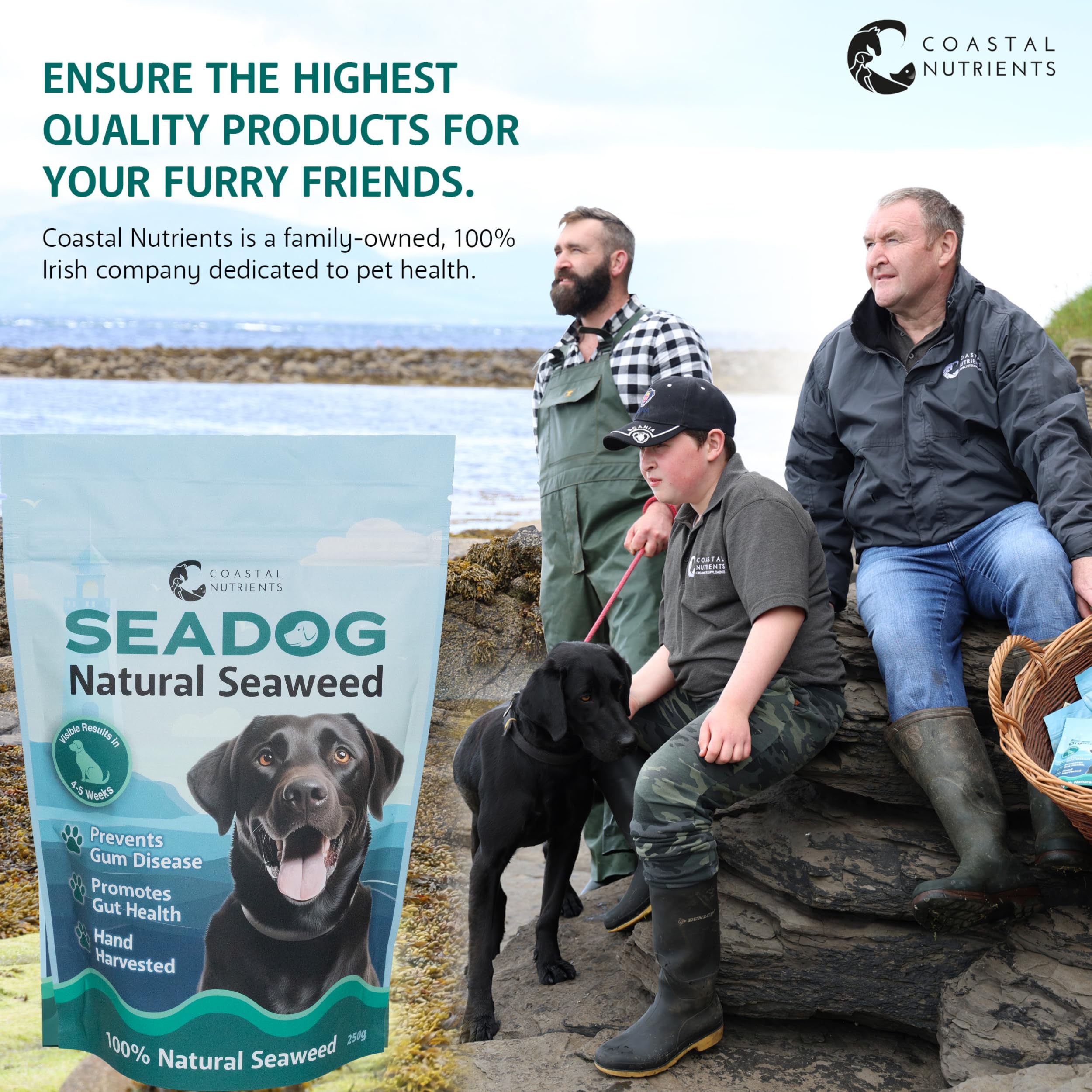 Coastal Nutrients Sea Dog Dental Powder for Dogs - Oral Hygiene & Gut Health | 250 g 4