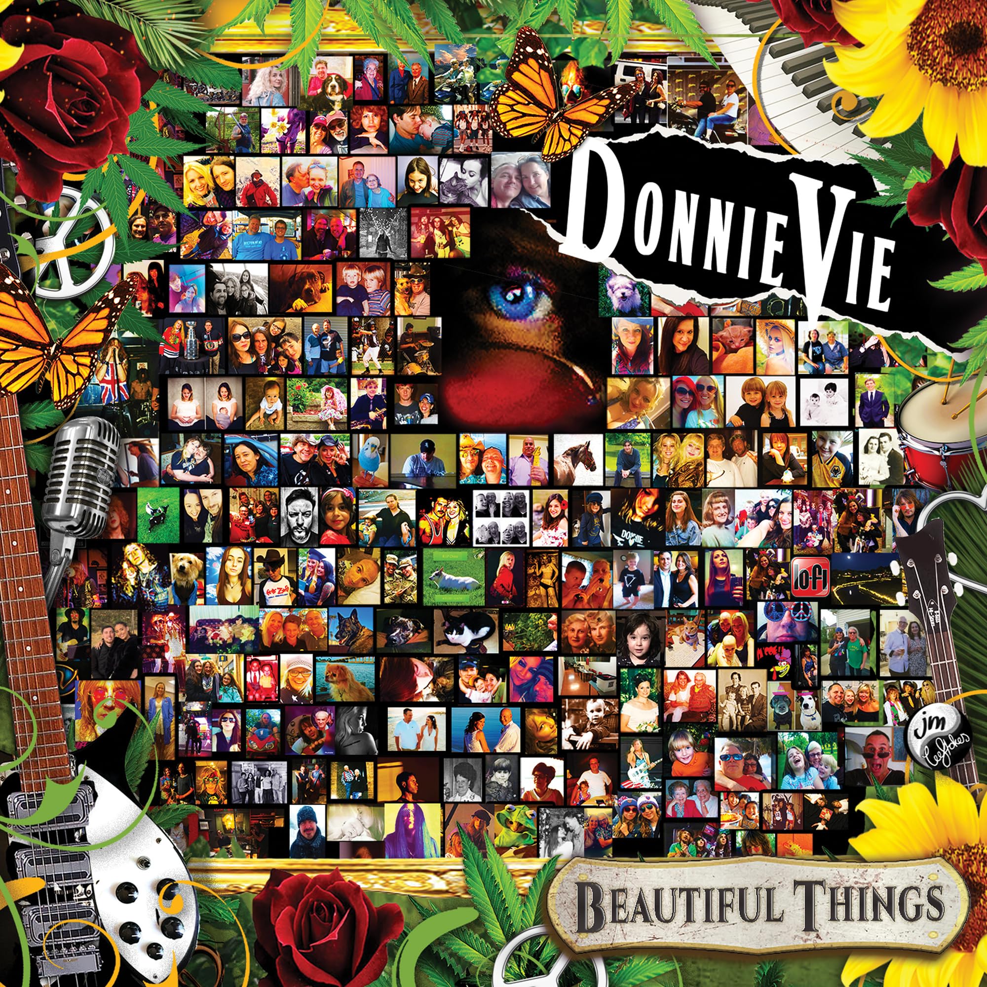 Donnie Vie - Beautiful Things [Vinyl] 1