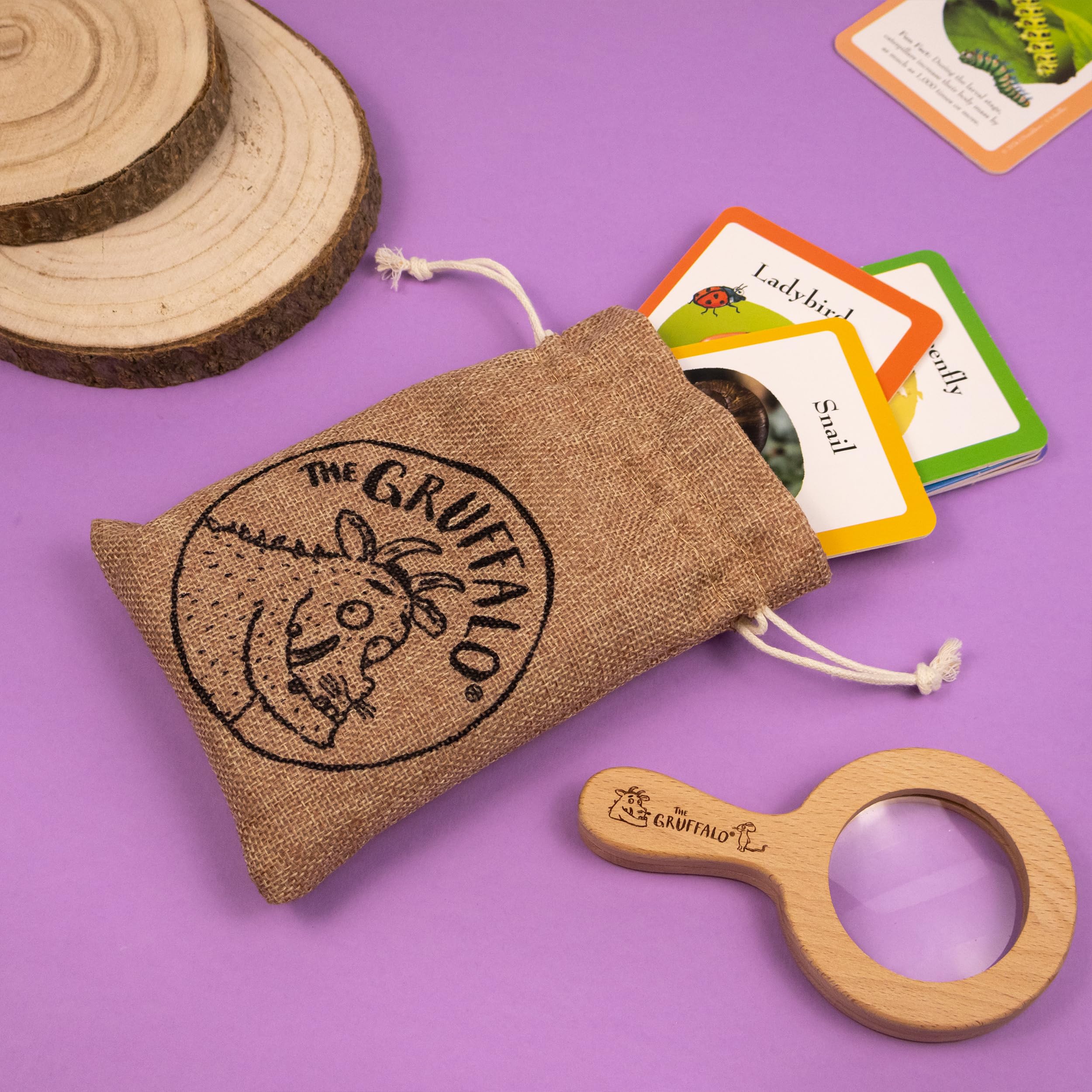 The Gruffalo Bug Spotter Activity Set - Nature Exploration for Kids 6
