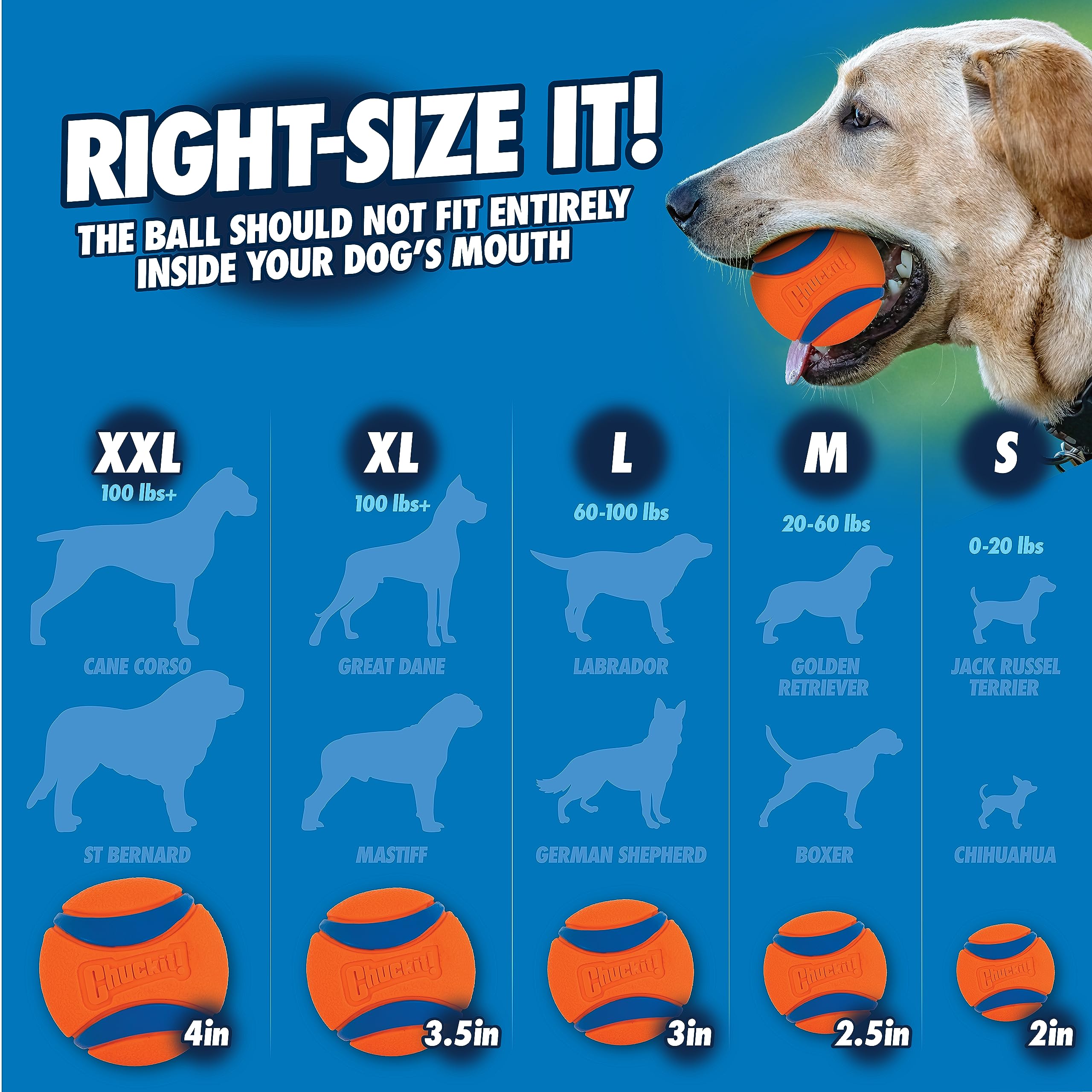 Chuckit! Pro Ball Launcher for Medium Dogs - 64cm Long Thrower with Tennis Ball 7