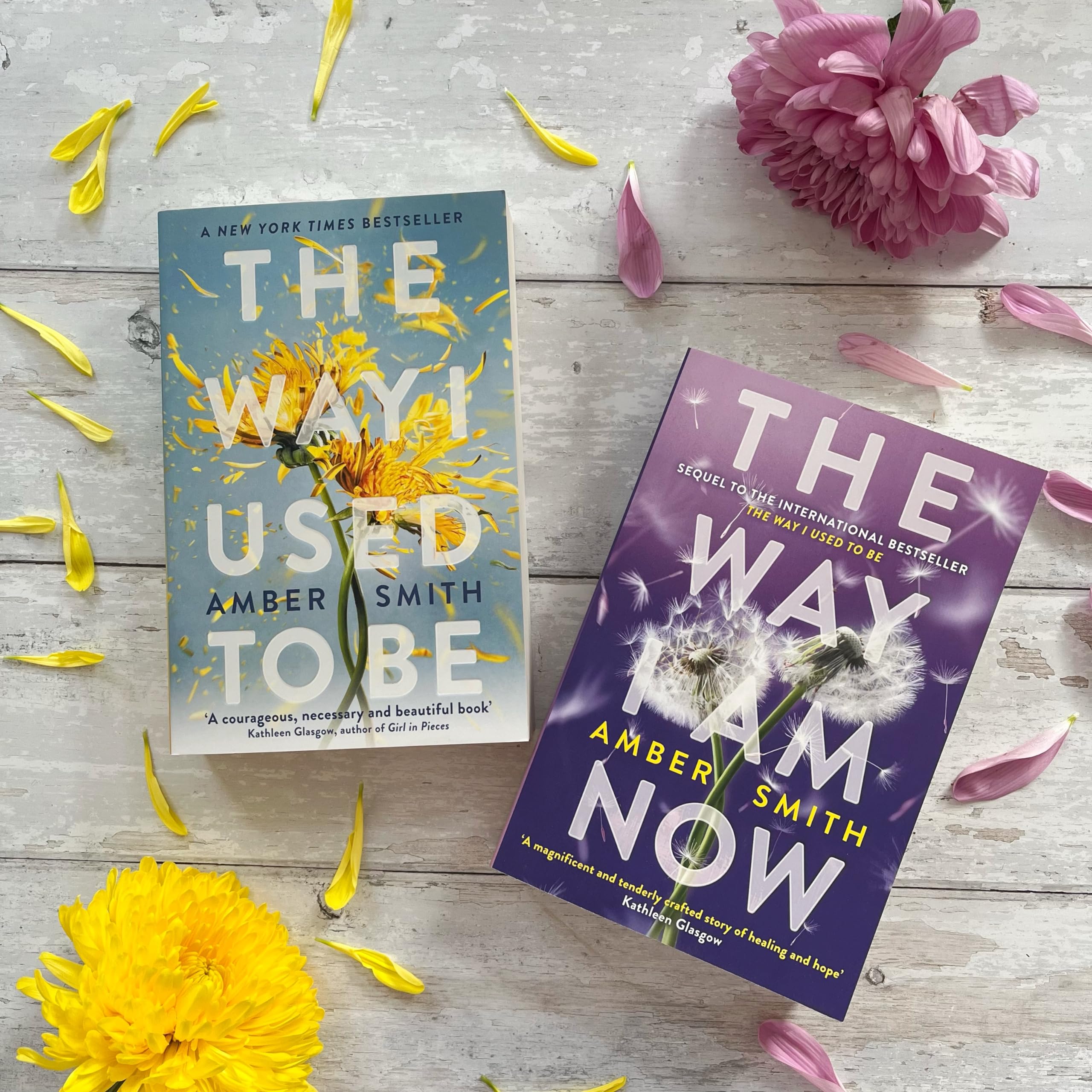 Amber Smith - The Way I Used to Be | Young Adult Literature & Fiction 4