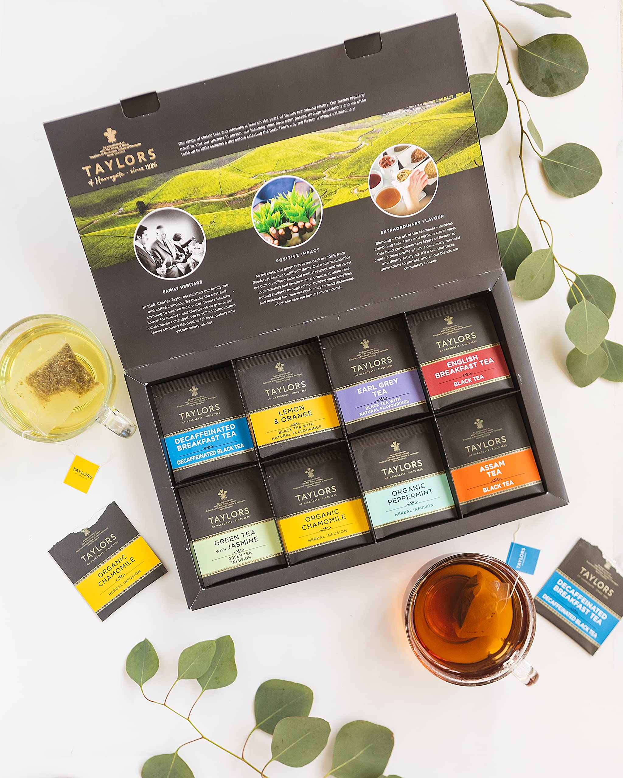 Taylors of Harrogate Assorted Speciality Teas Selection Gift Box - 8 Flavour Variety Pack 3
