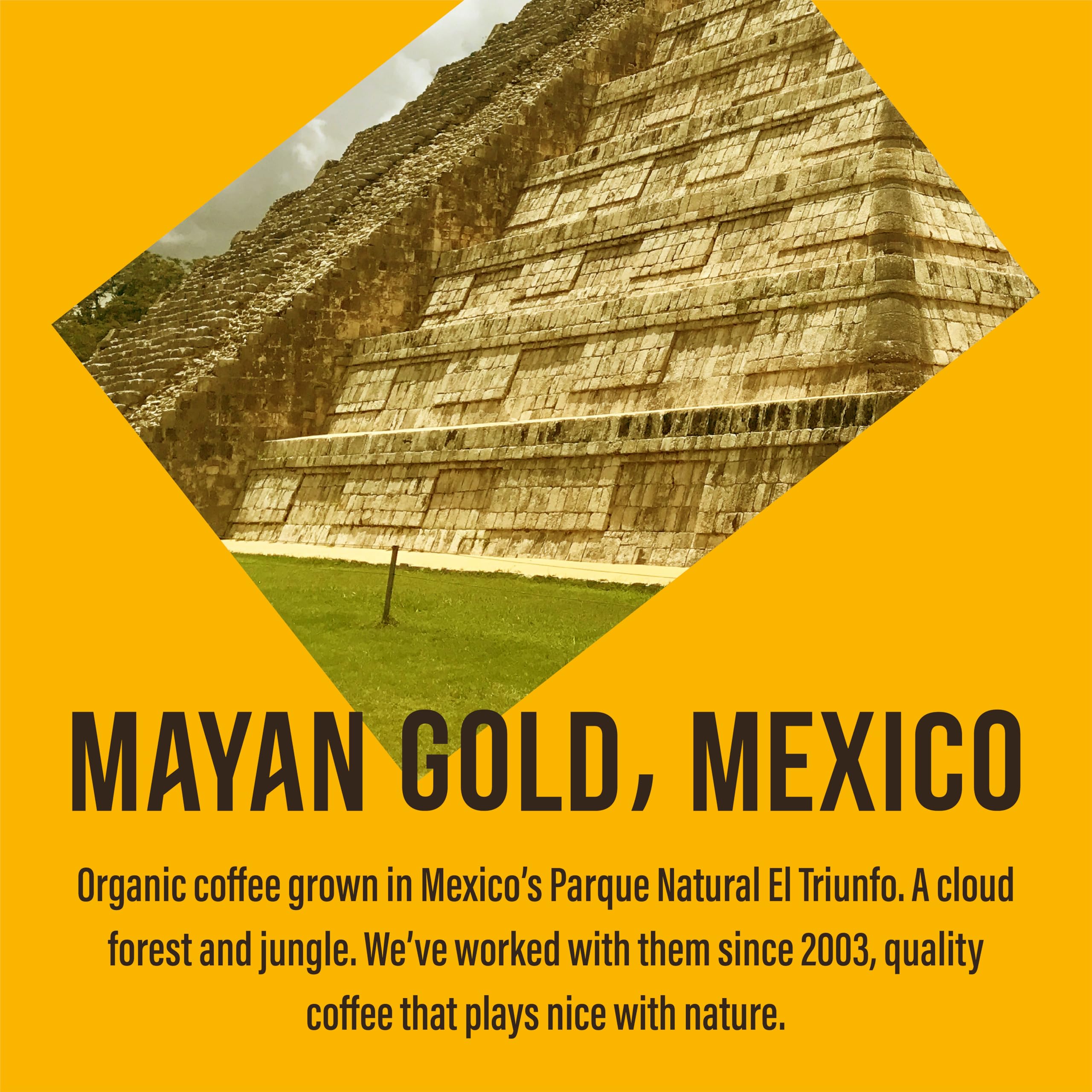 Cafédirect Mayan Gold Mexico Organic Fairtrade Ground Arabica Coffee 200g 7