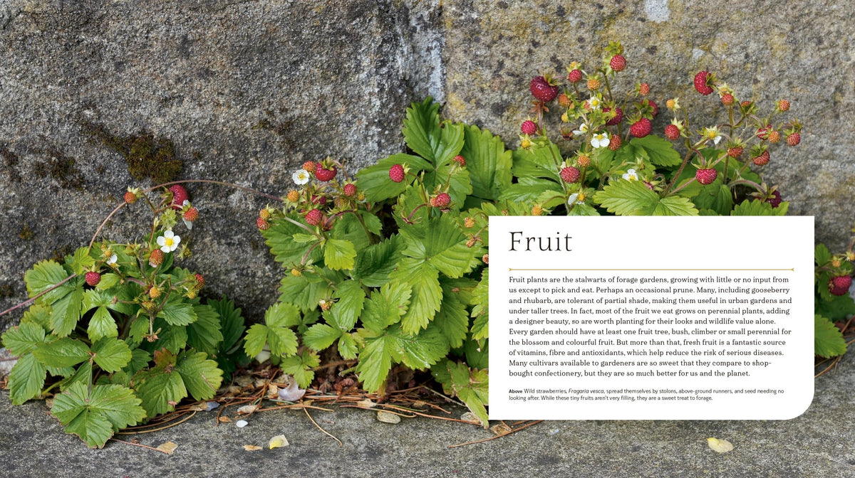 Green Books Grower Gatherer: Edible Perennials to Grow and Forage in Your Garden - Hardcover, 192 Pages