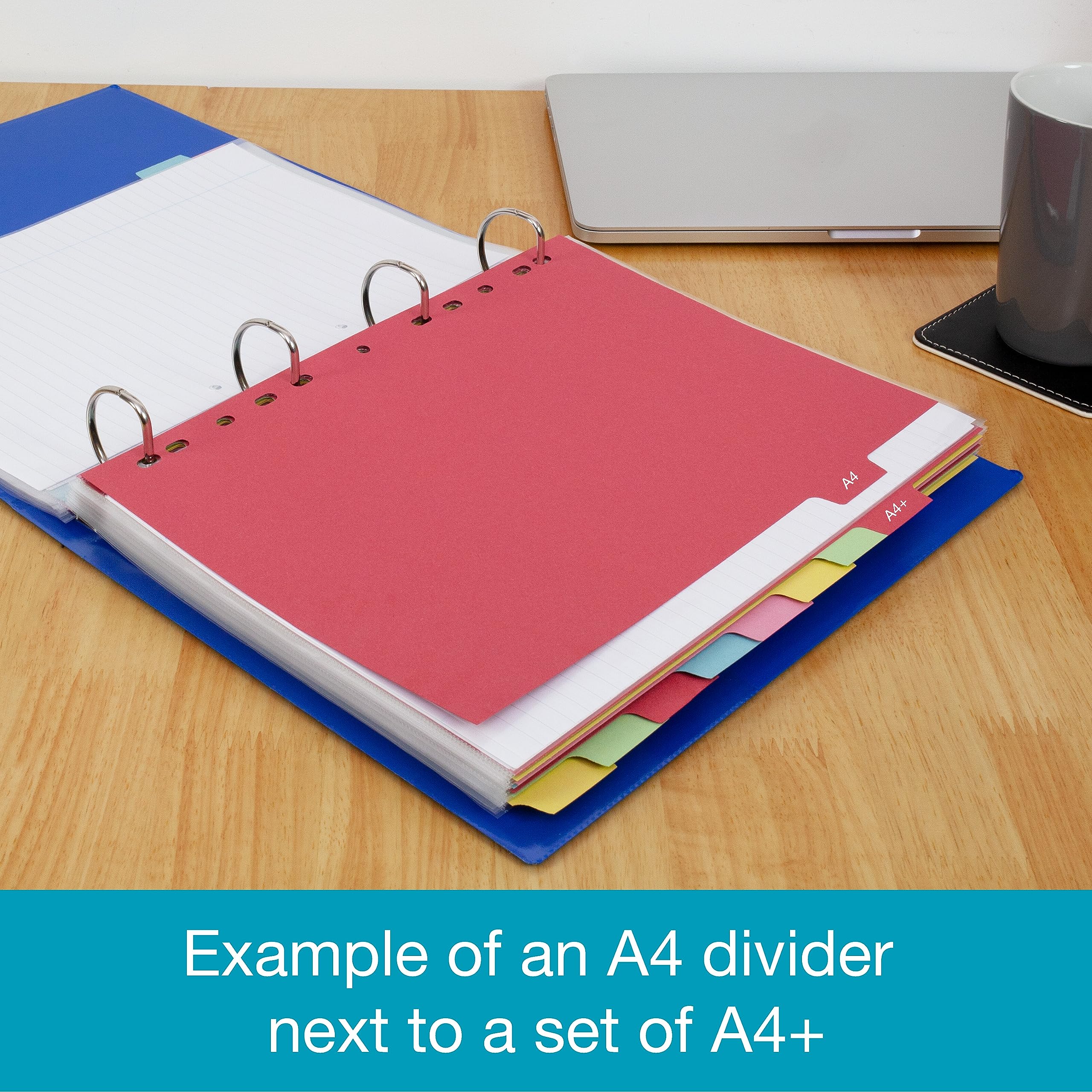 Elba A4+ Extra Wide File Dividers - 10 Sets Assorted Colours | Durable Cardstock 5