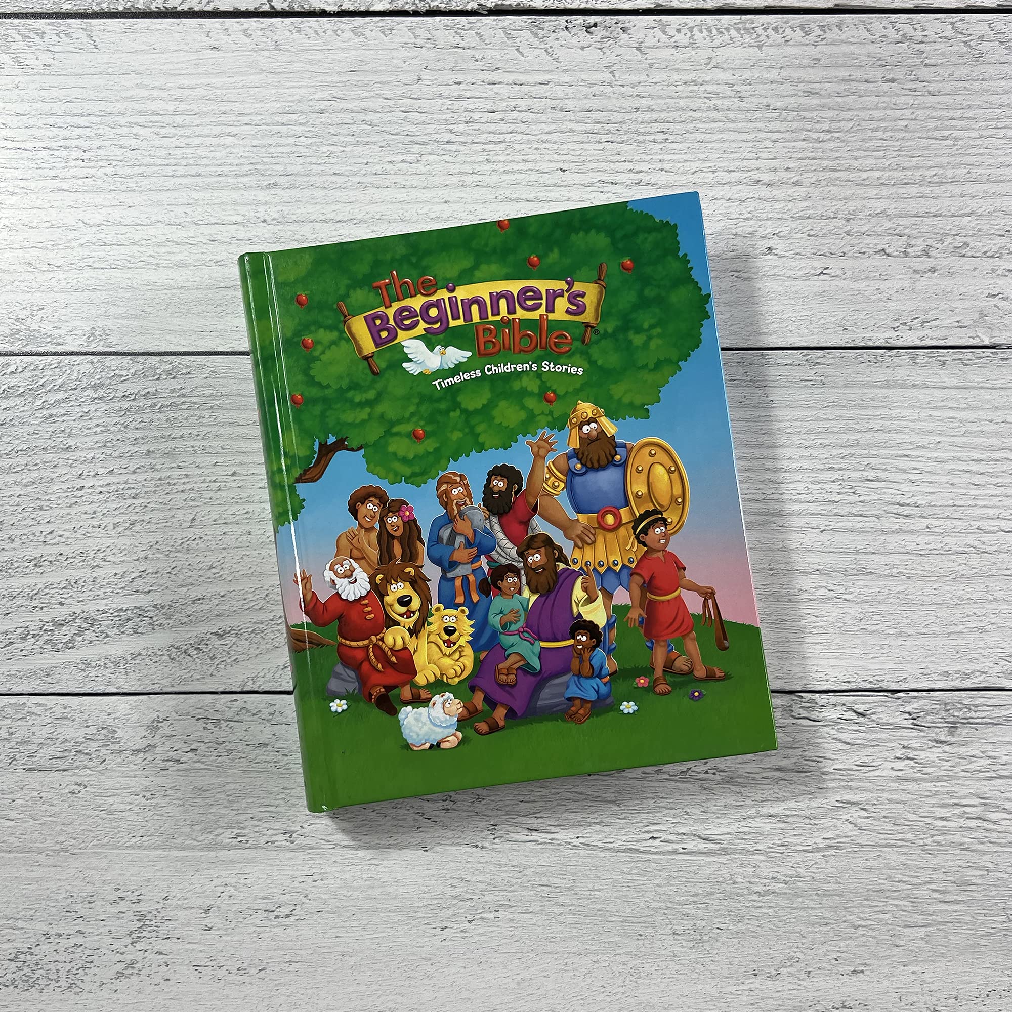 The Beginner's Bible - Timeless Children's Stories | Hardcover Illustrated Edition 8