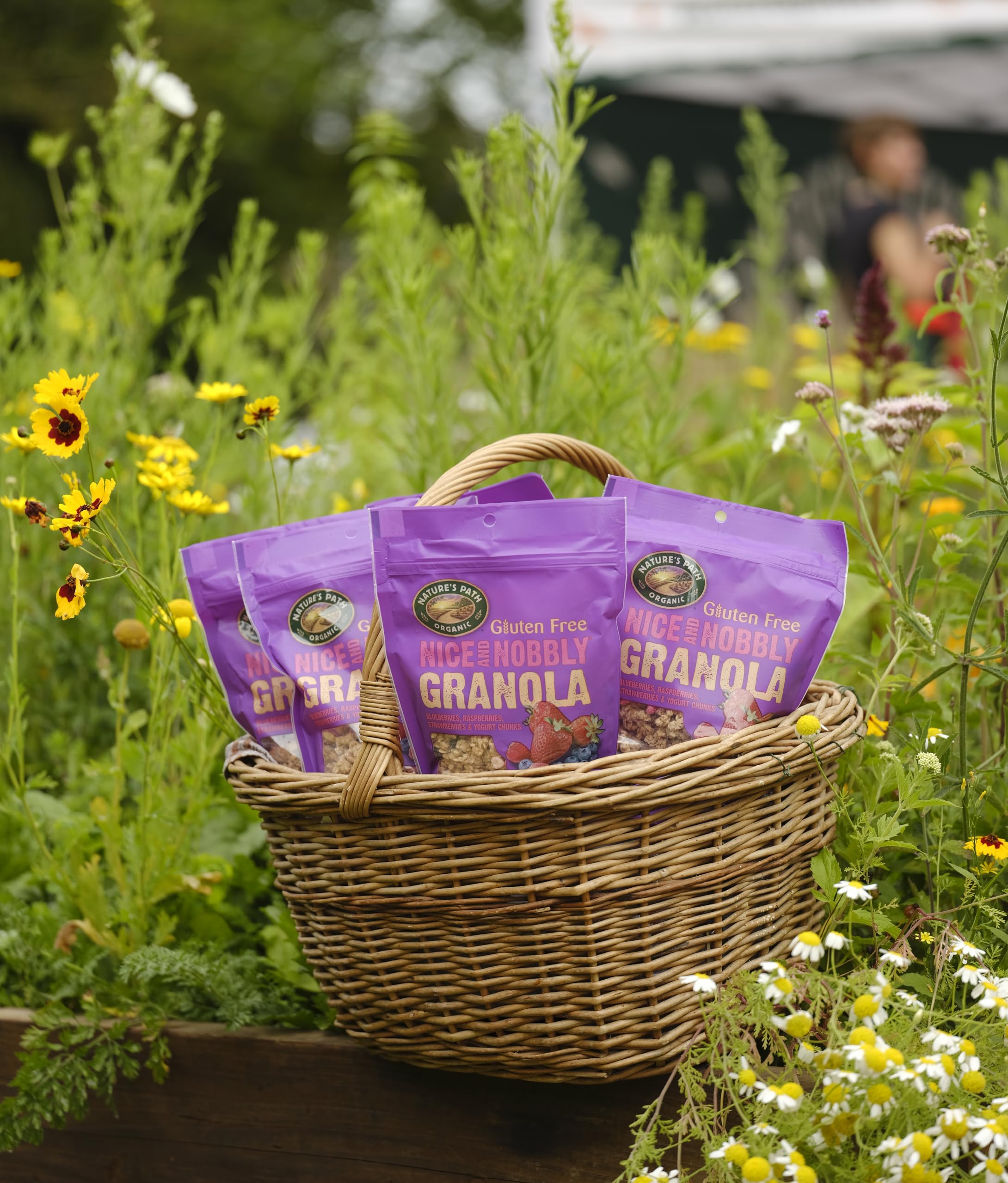 Nature's Path Organic Gluten Free Berry Granola with Yogurt Chunks 300g 7