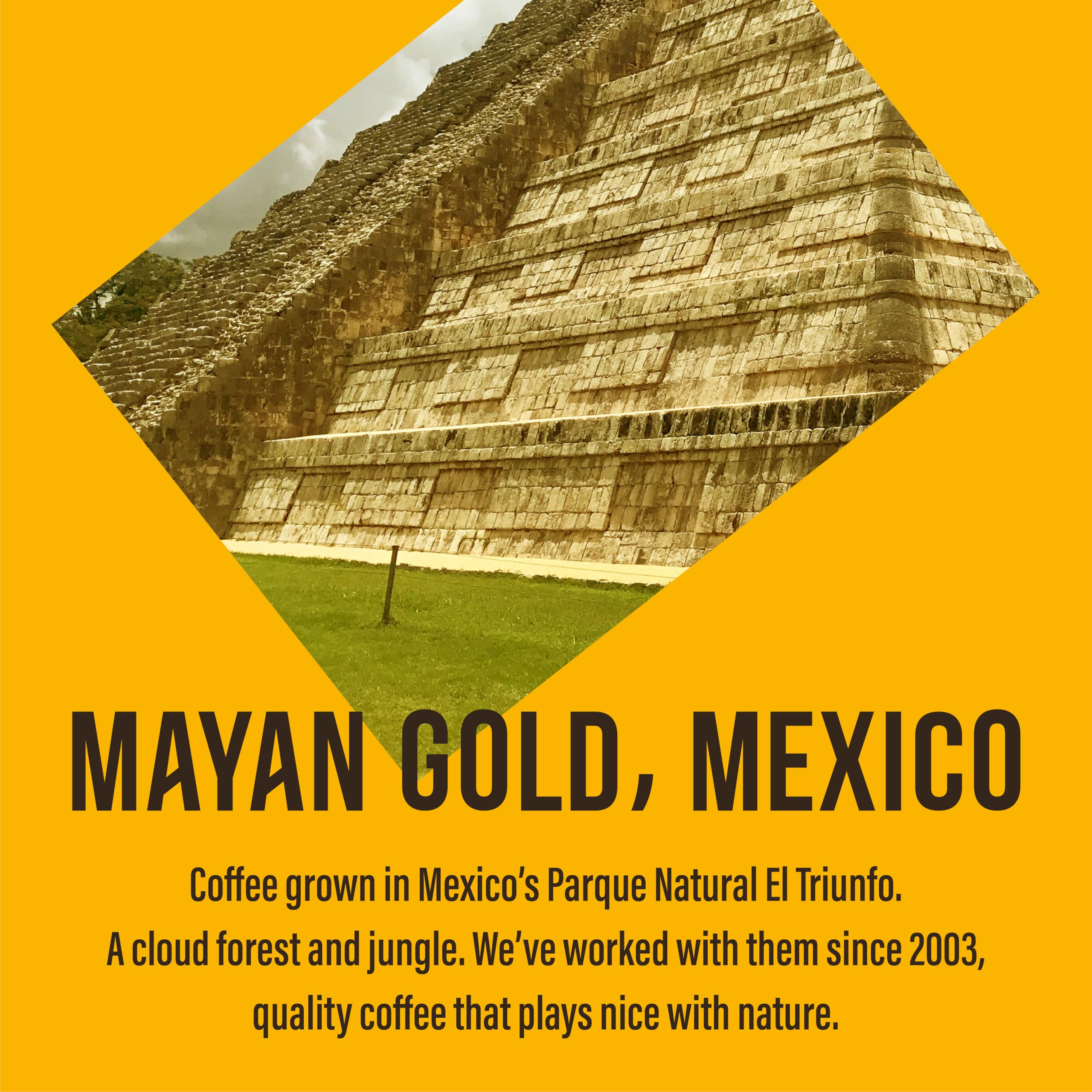 Cafédirect Mayan Gold Single Origin Freeze Dried Instant Coffee 100g 5