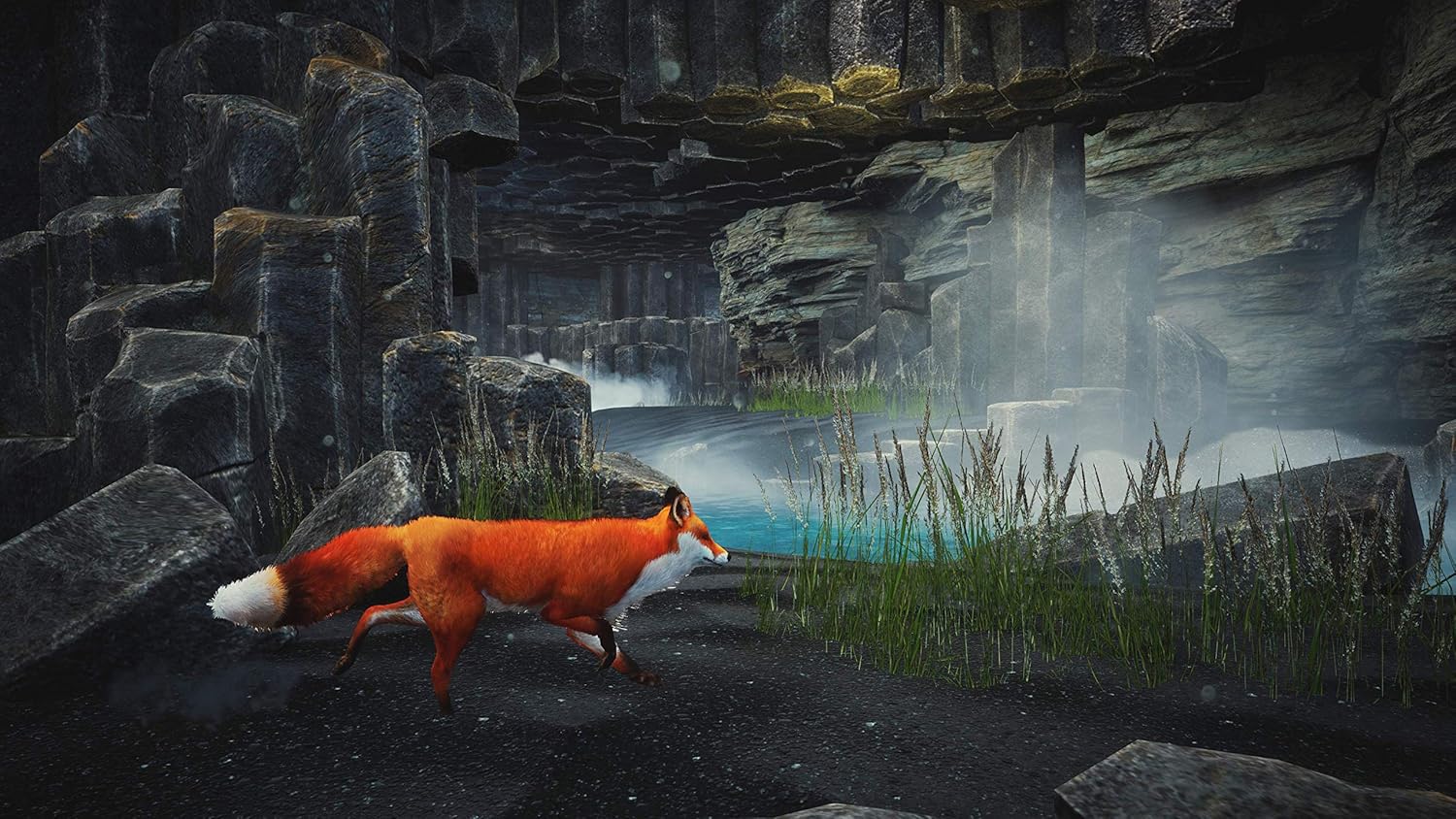 Spirit of the North: Enhanced Edition - PS5 4