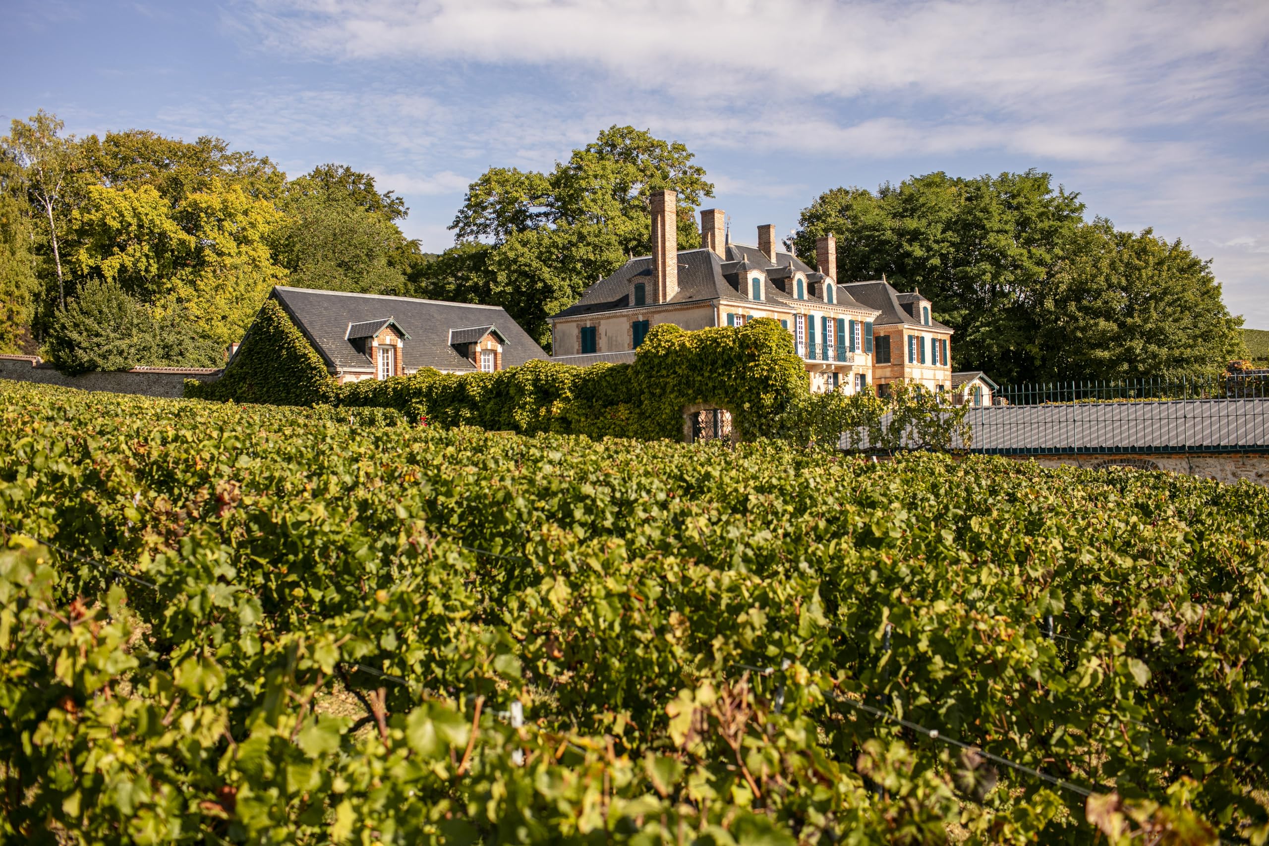 Taittinger Brut Prestige Rosé Non Vintage Champagne in Gift Box (75cl) 4