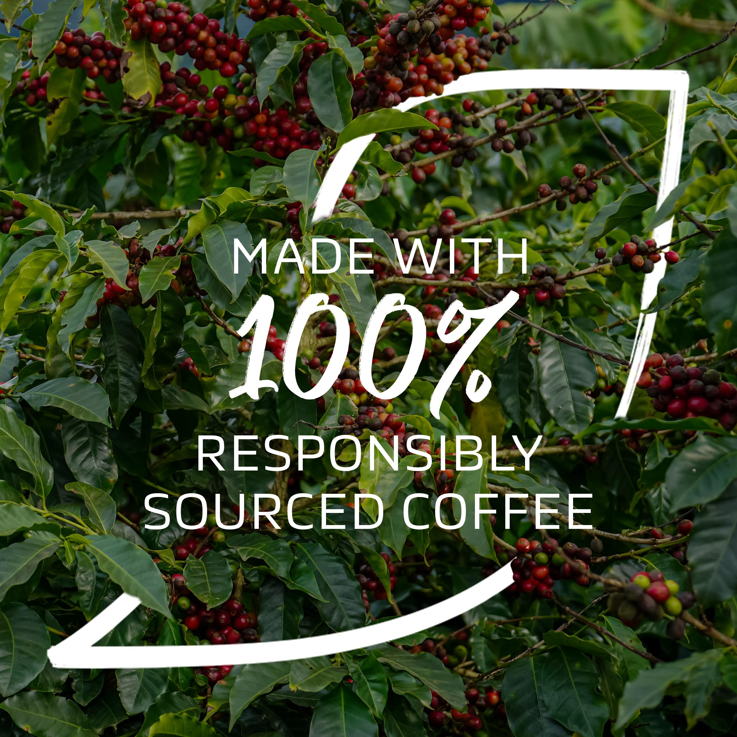 NESCAFÉ Bio Fairtrade Instantkaffee 500g – 100% Arabica, Zitrusnoten, EU-Bio-zertifiziert 10